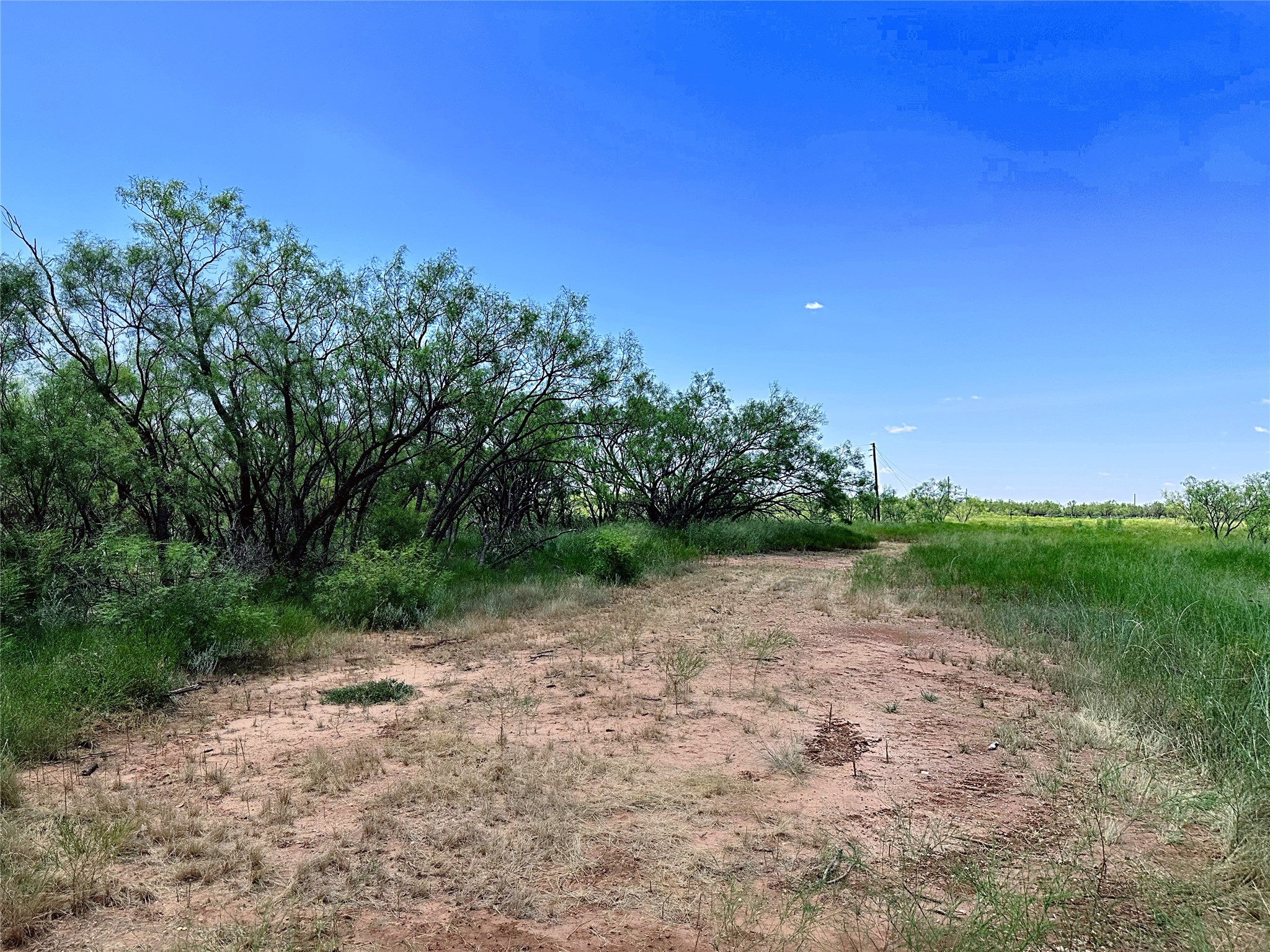 Tbd (East Tract) County Road 356 Anson TX 79501