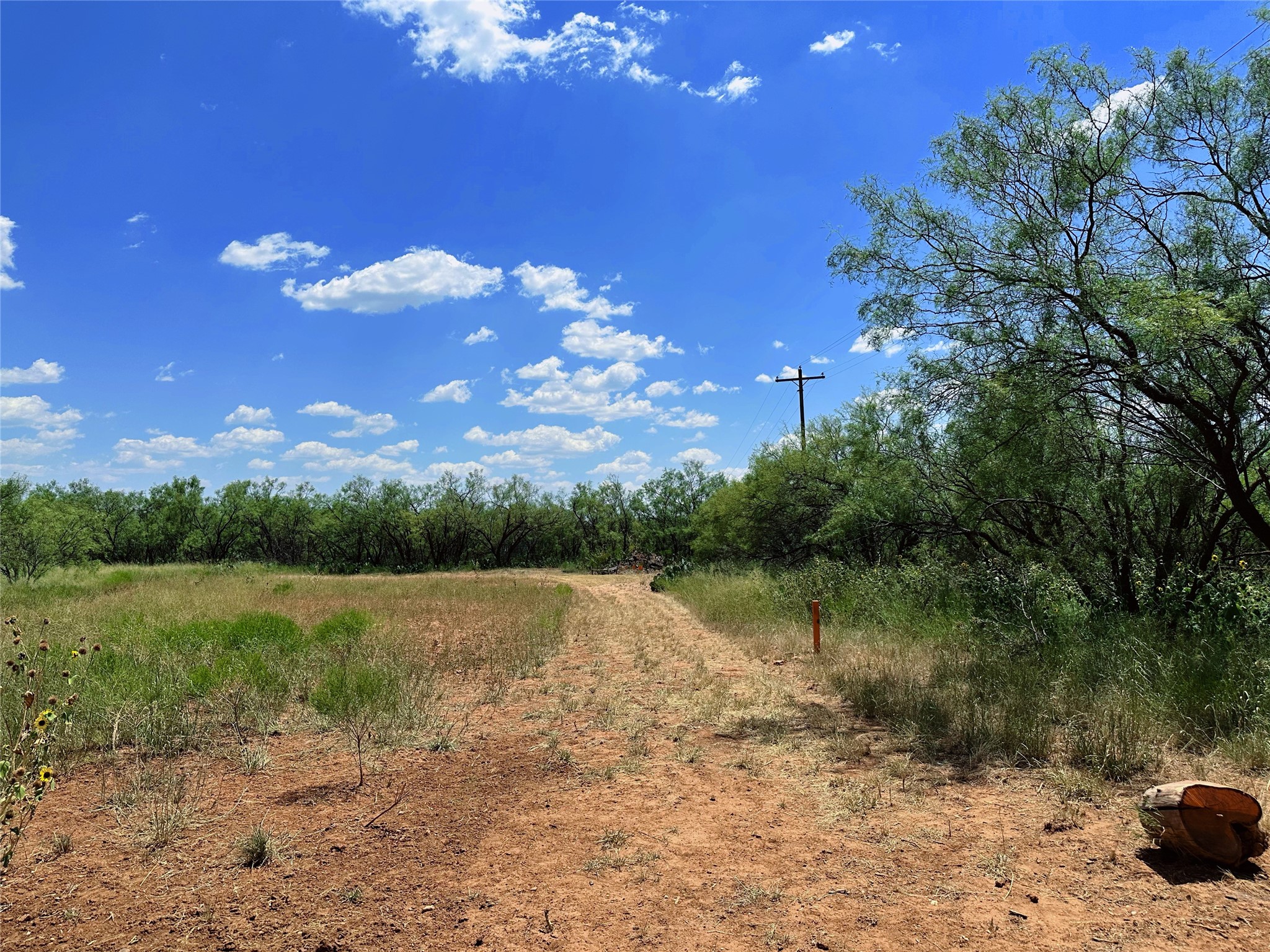 Tbd (East Tract) County Road 356 Anson TX 79501