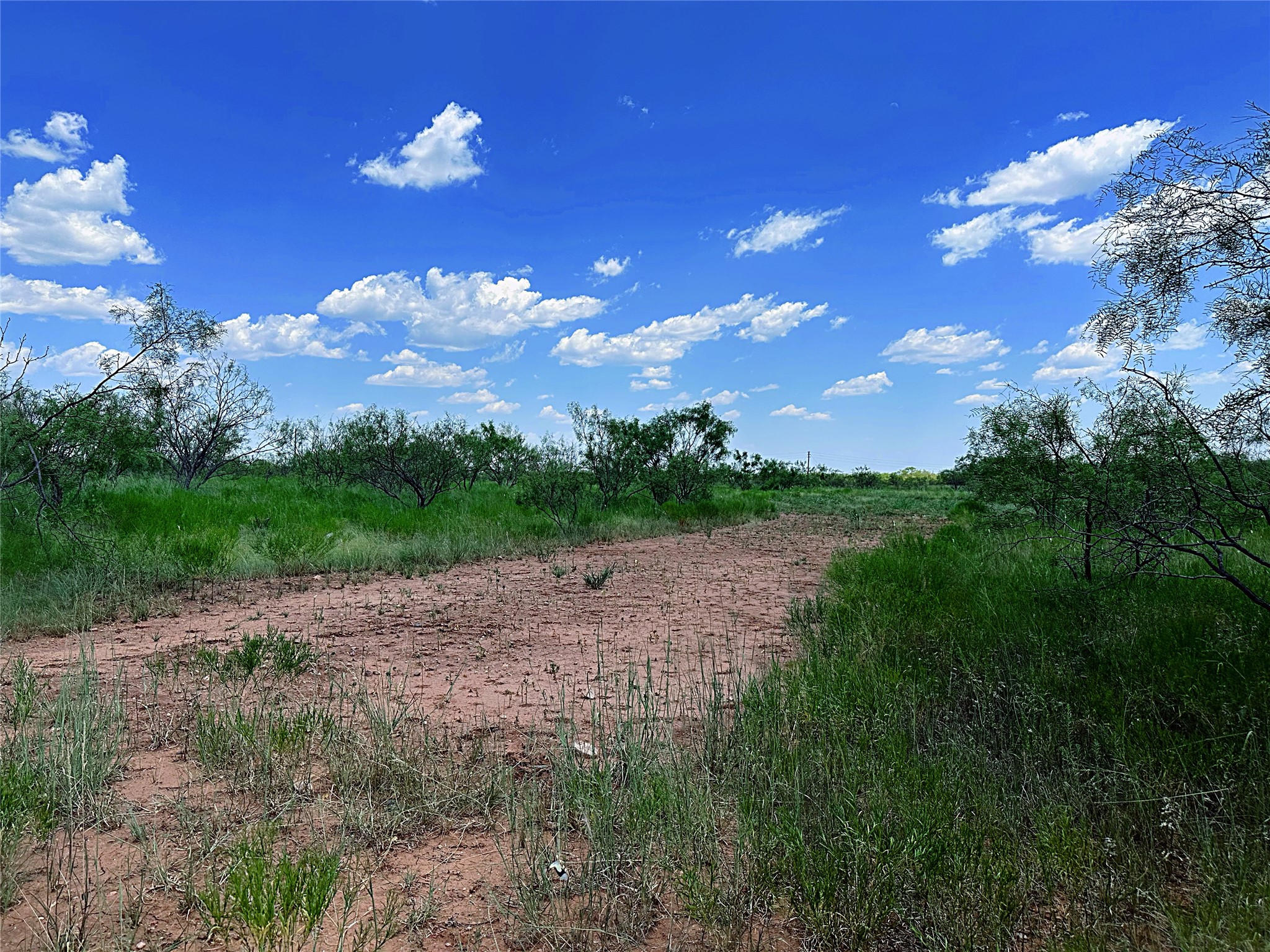 Tbd (East Tract) County Road 356 Anson TX 79501