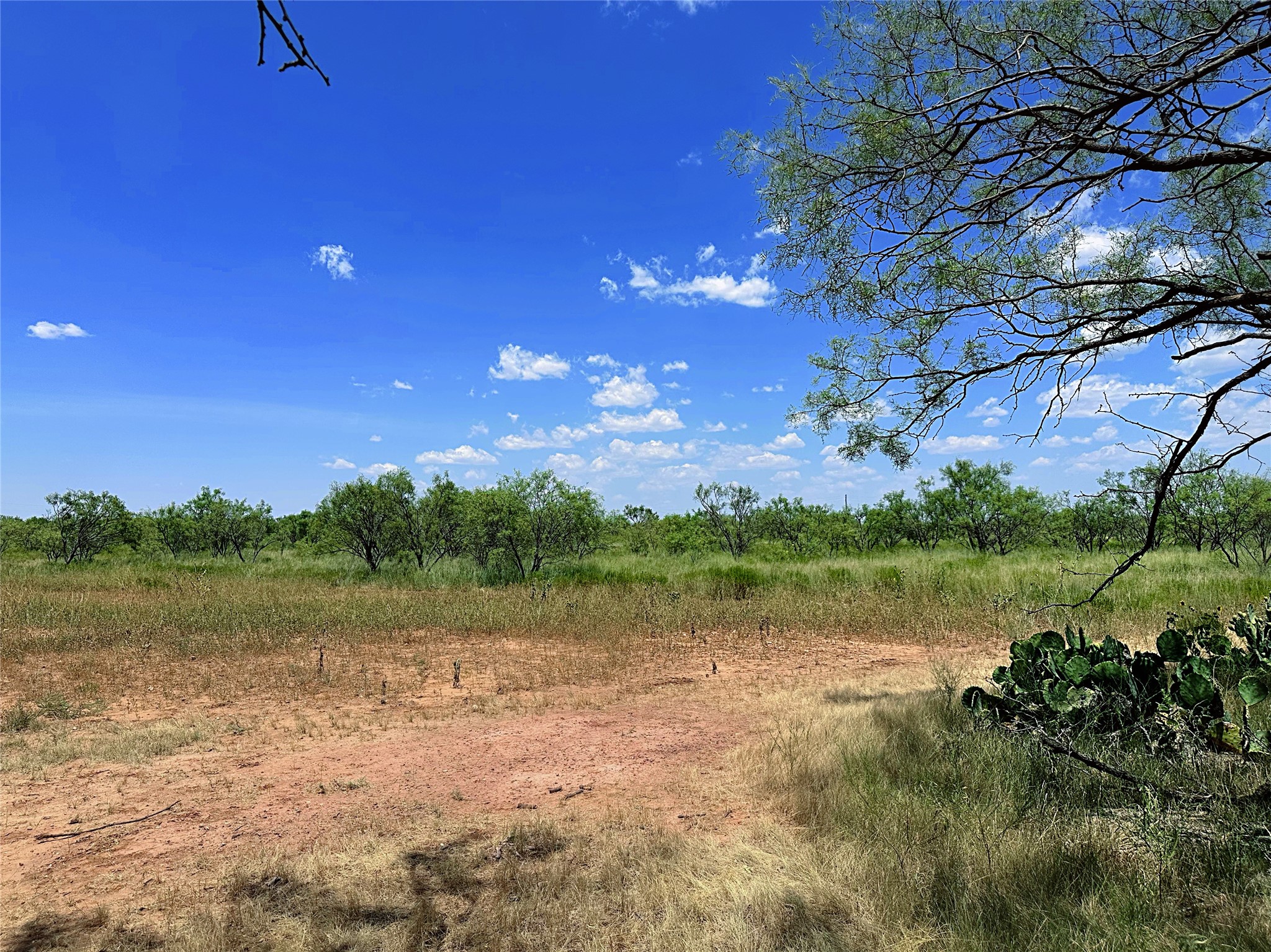 Tbd (East Tract) County Road 356 Anson TX 79501