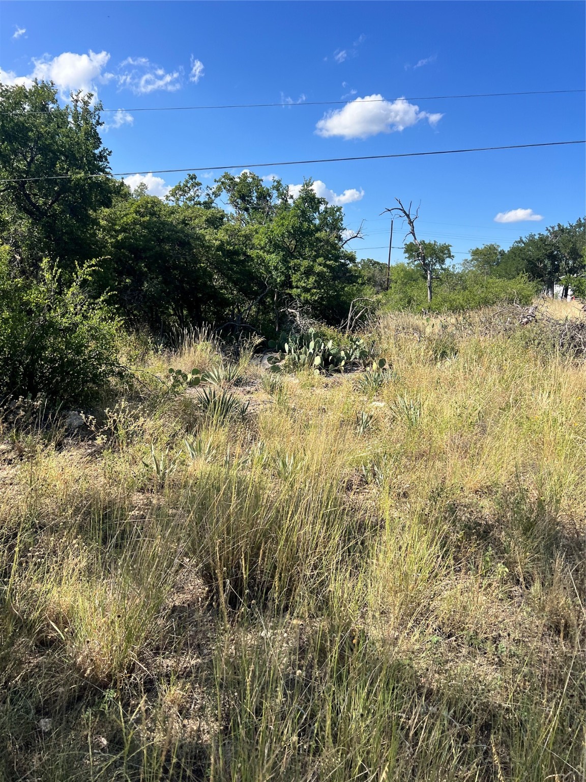7134 Emerald Drive Brownwood TX 76801