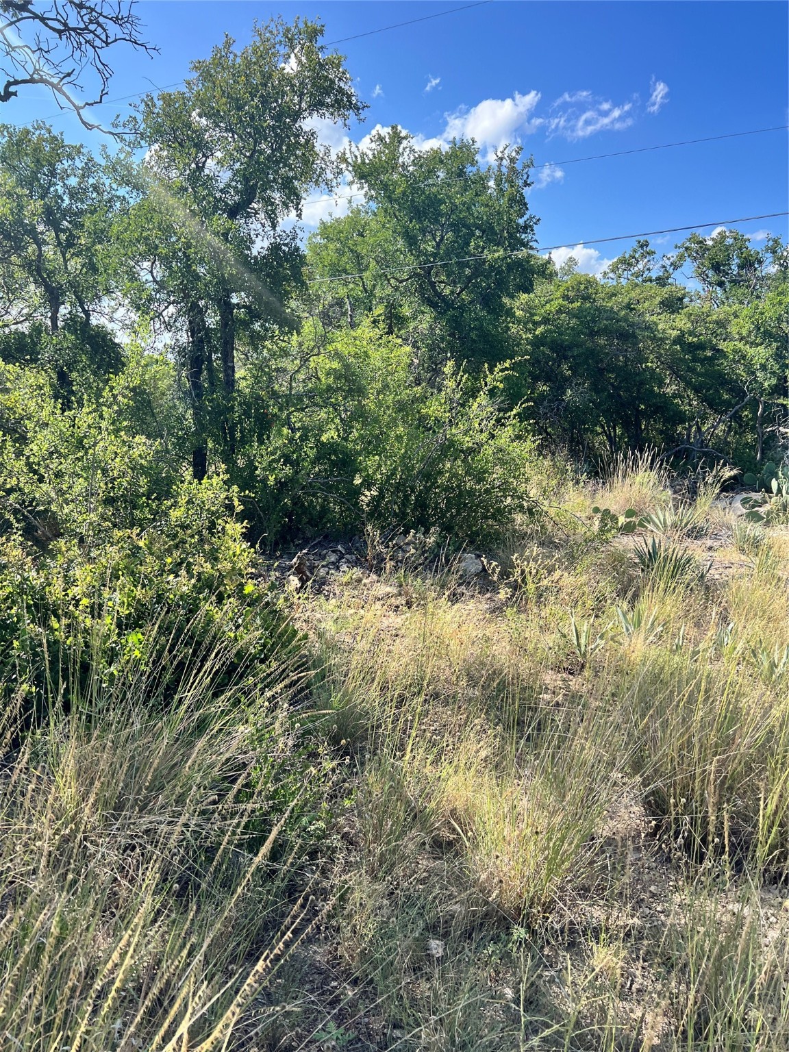 7134 Emerald Drive Brownwood TX 76801