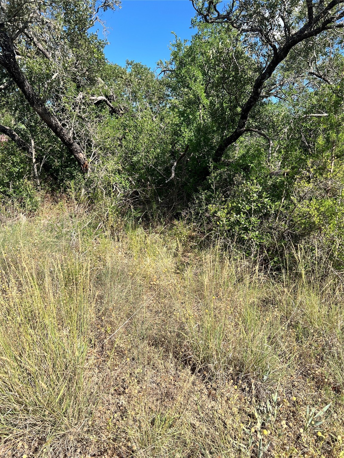7134 Emerald Drive Brownwood TX 76801