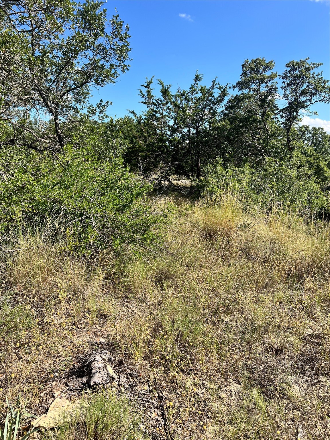 7134 Emerald Drive Brownwood TX 76801