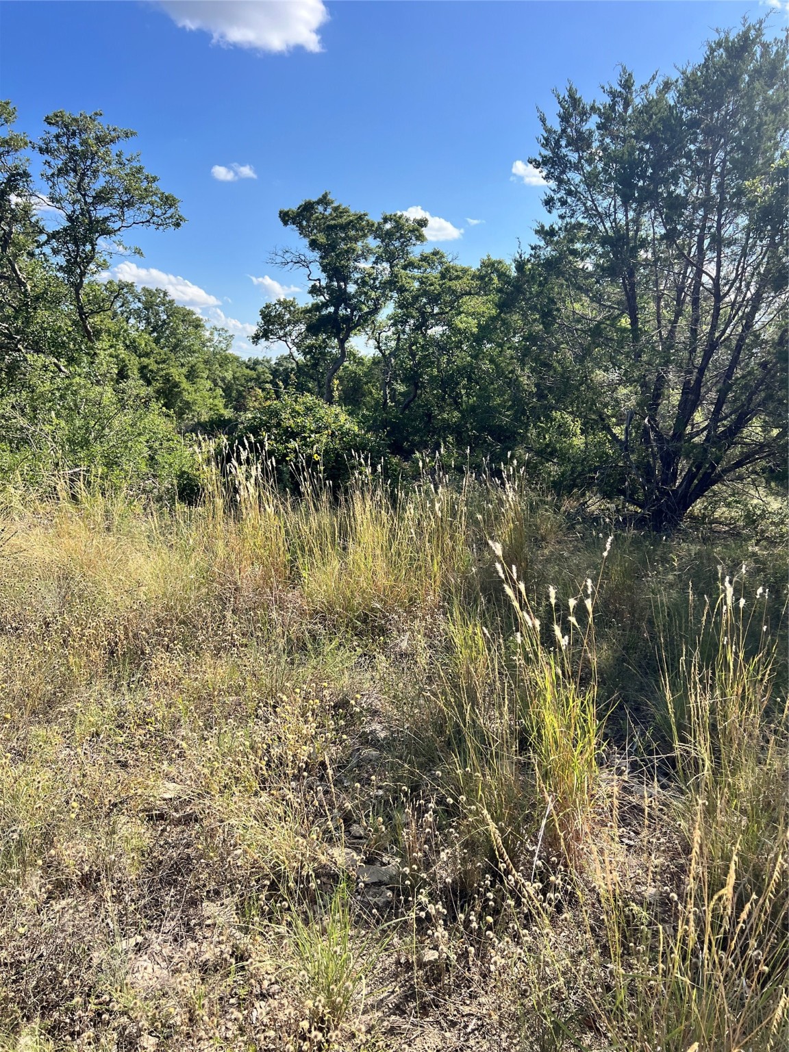 7134 Emerald Drive Brownwood TX 76801
