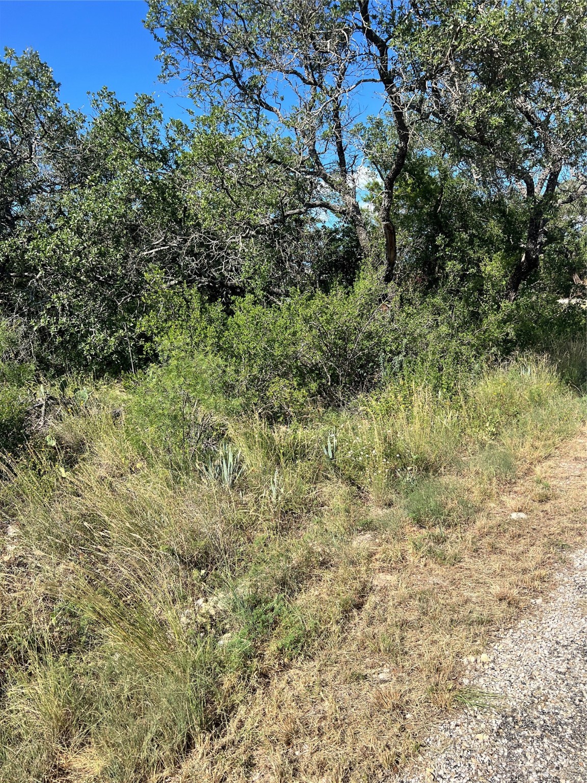 7134 Emerald Drive Brownwood TX 76801