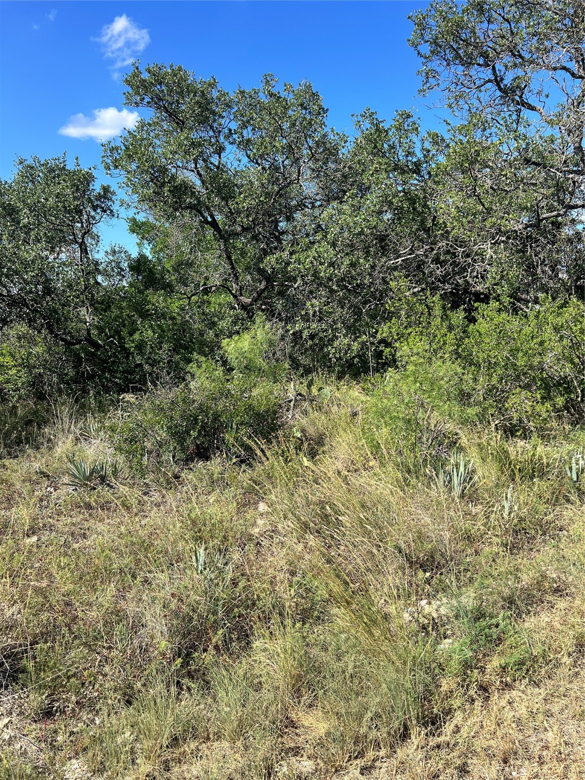 7134 Emerald Drive Brownwood TX 76801