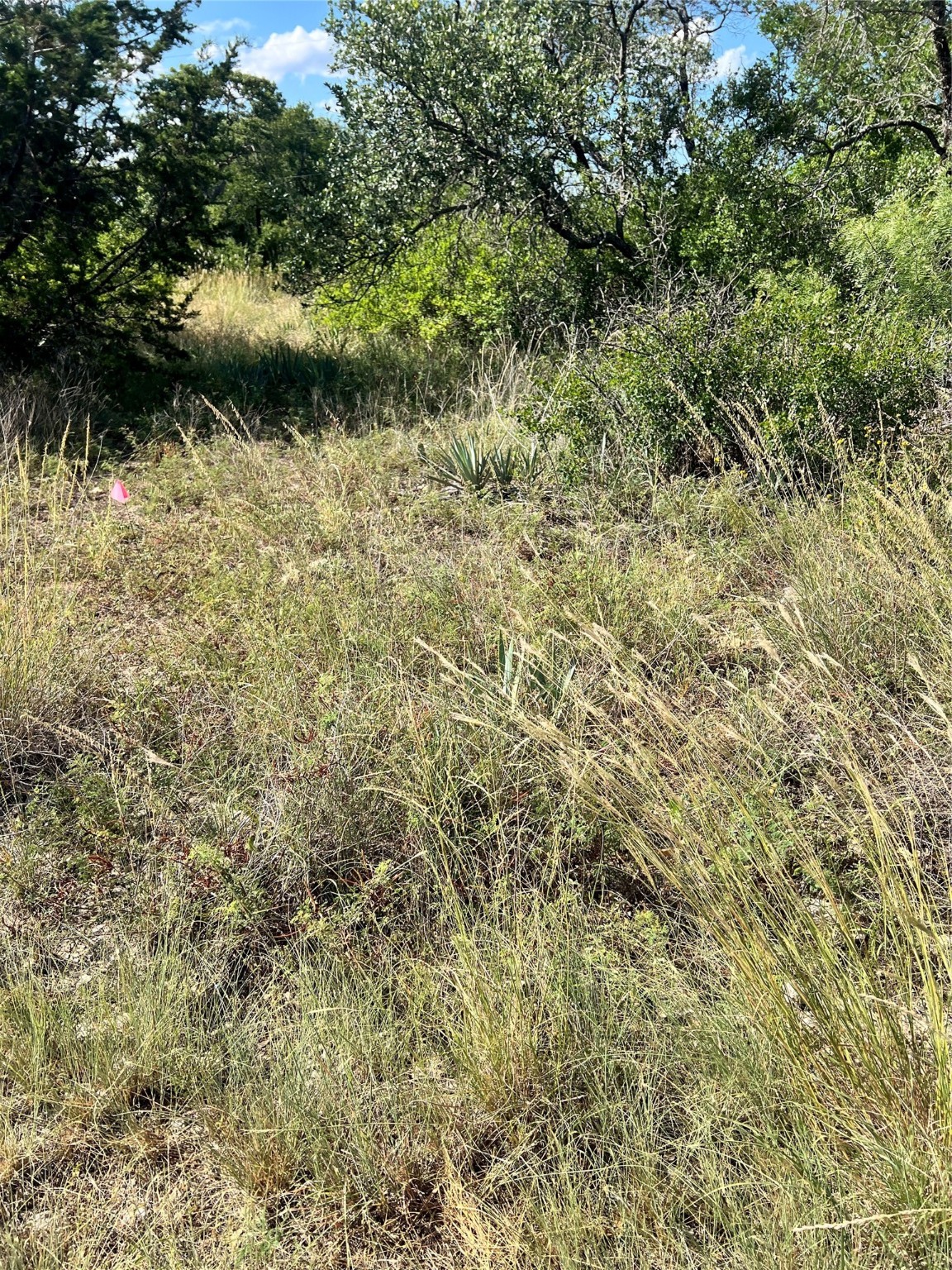 7134 Emerald Drive Brownwood TX 76801
