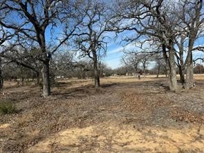 Tbd Cr 2030 Lot 9 Glen Rose TX 76043