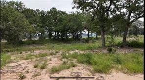 Tbd Cr 2030 Lot 9 Glen Rose TX 76043