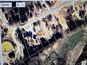 Tbd Cr 2030 Lot 9 Glen Rose TX 76043