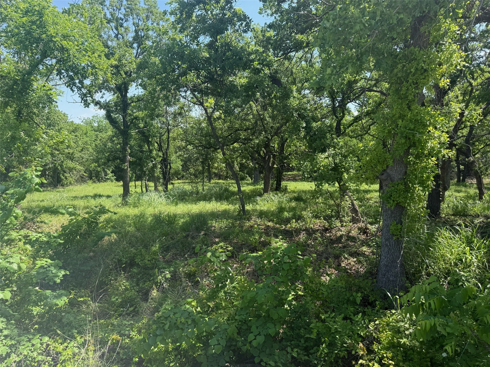 10.151 Ac Cr 3170_tract Three Decatur TX 76234