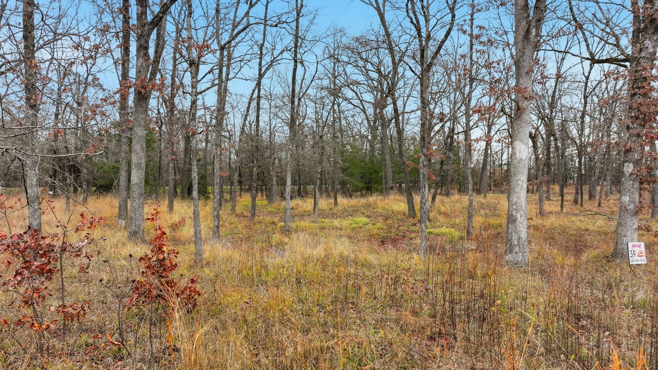 Lot 39 & 39a, Block 1 Fisherman's Bay Quitman TX 75783