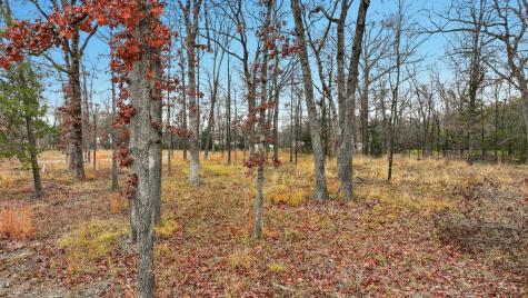 Lot 39 & 39a, Block 1 Fisherman's Bay Quitman TX 75783