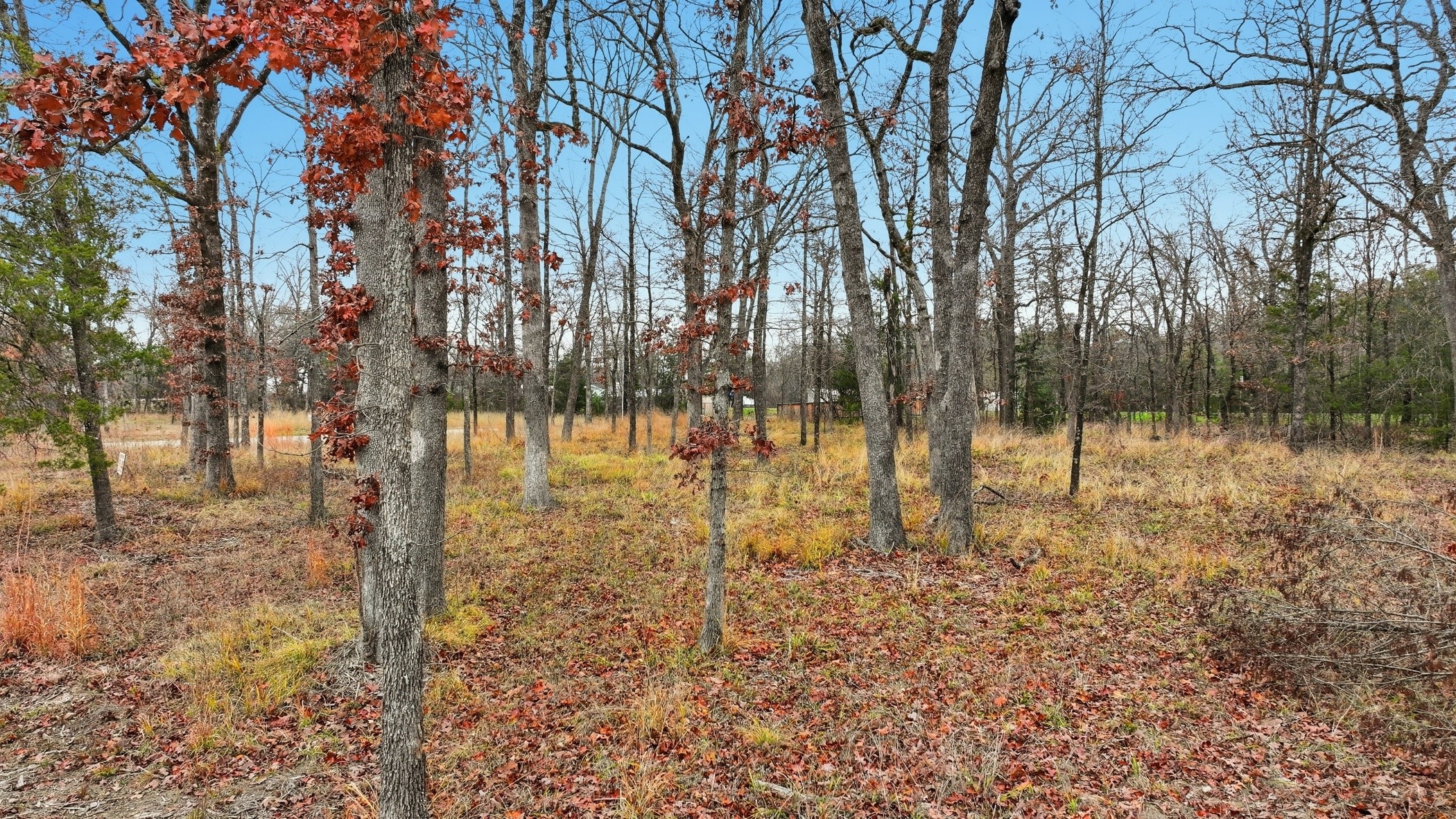 Lot 39 & 39a, Block 1 Fisherman's Bay Quitman TX 75783