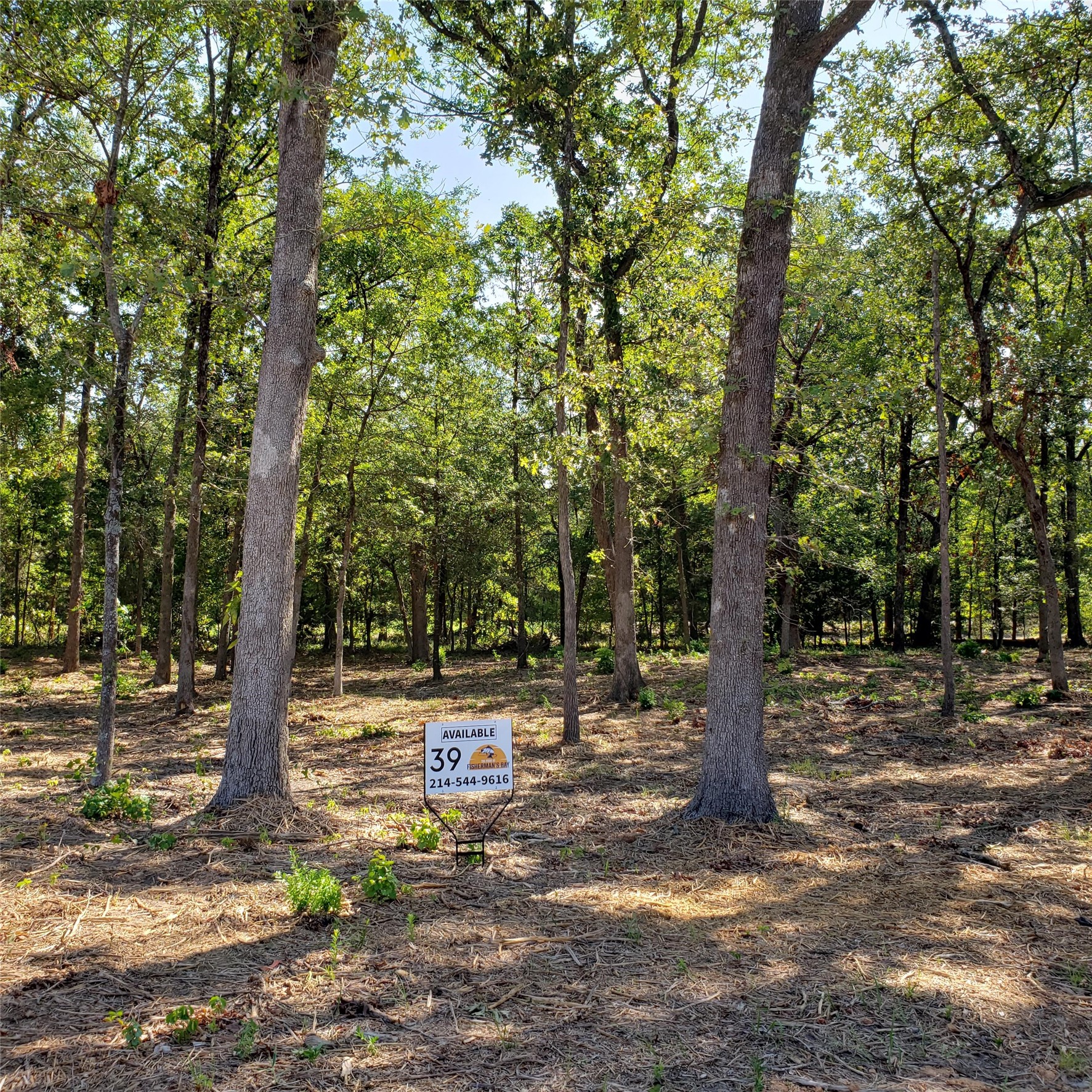 Lot 39 & 39a, Block 1 Fisherman's Bay Quitman TX 75783
