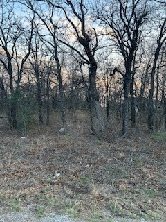 4 Haynie Drive Runaway Bay TX 76426