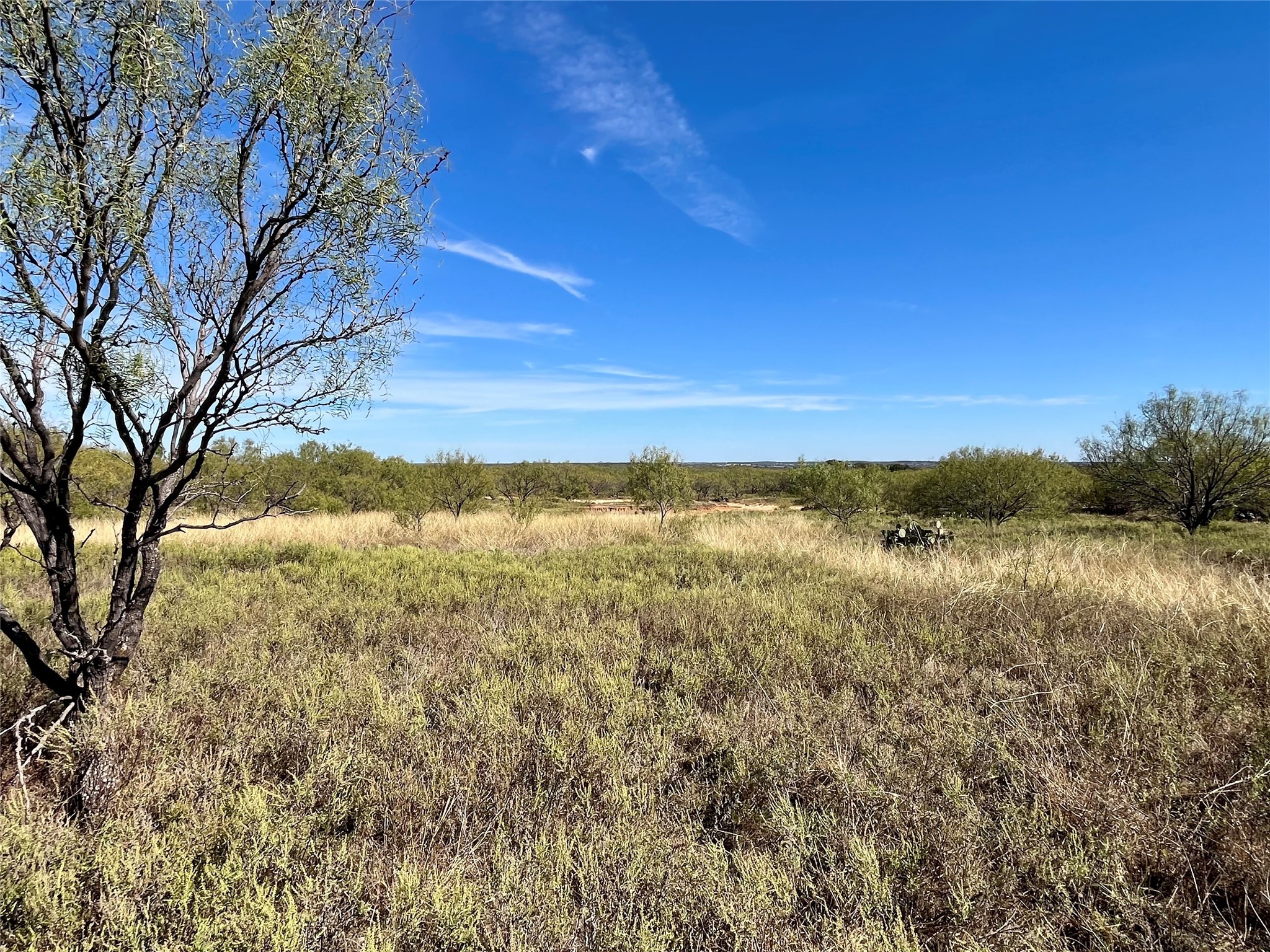 000 Fm 175 Bryson TX 76427