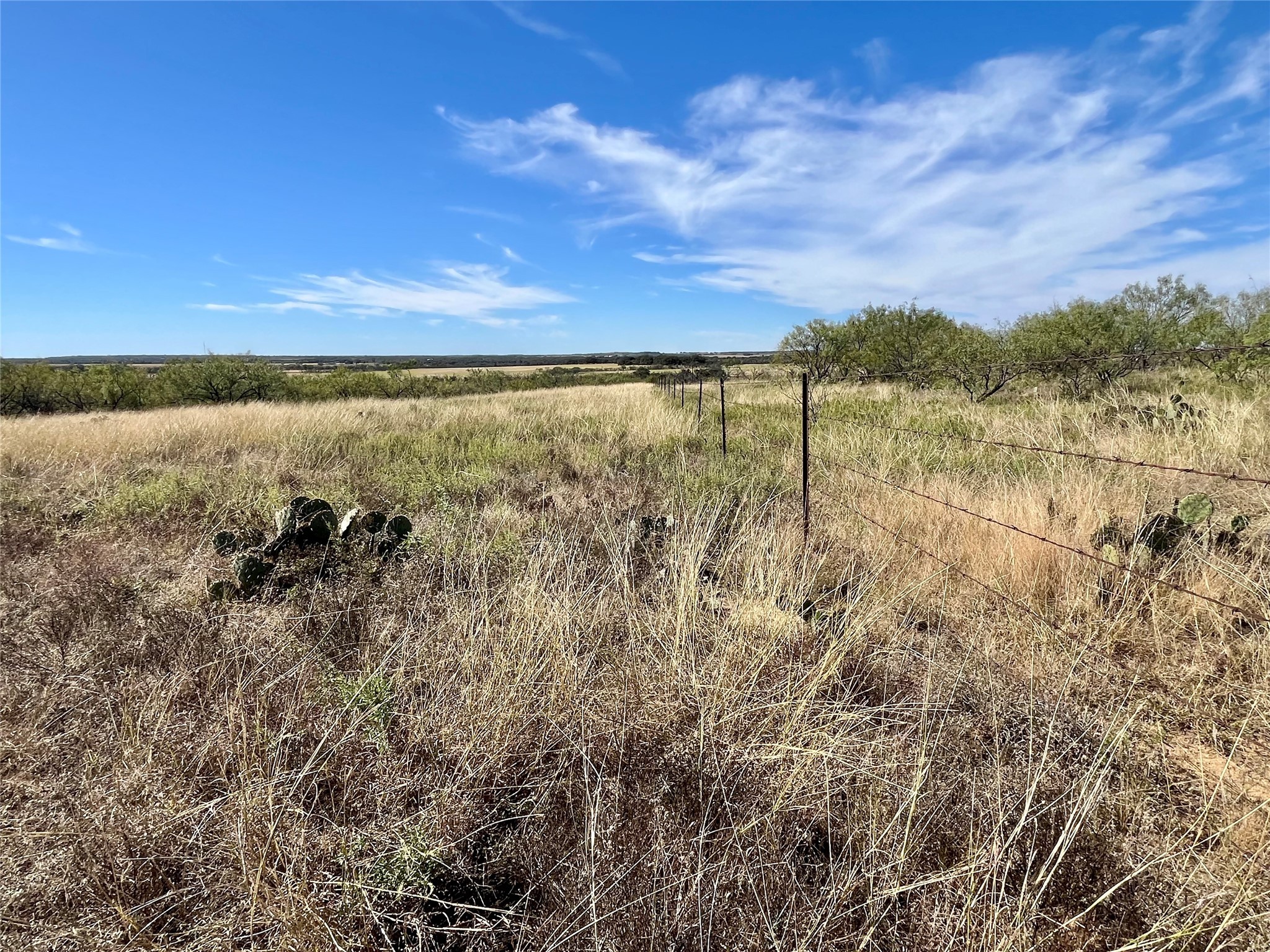 000 Fm 175 Bryson TX 76427