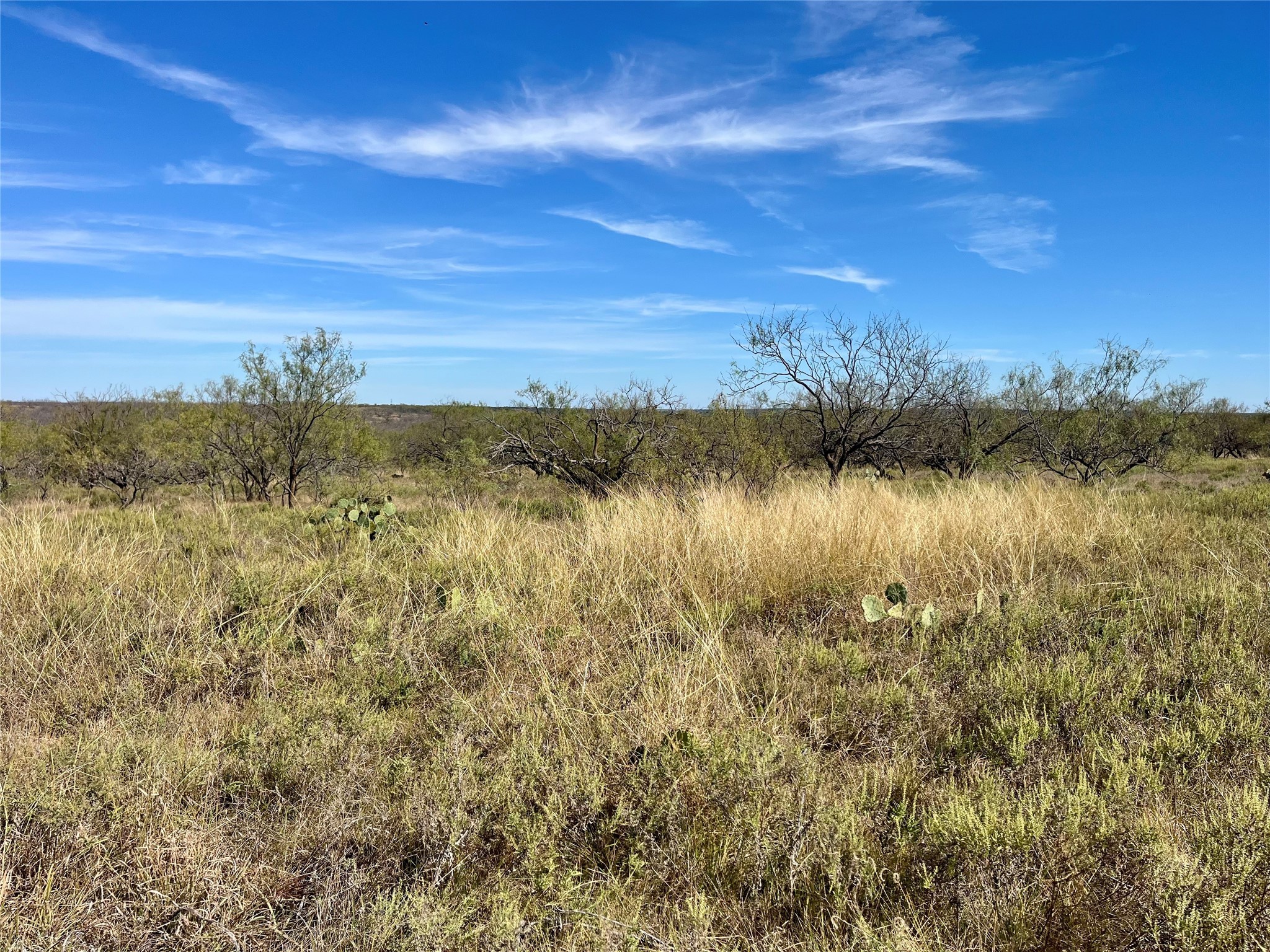 000 Fm 175 Bryson TX 76427