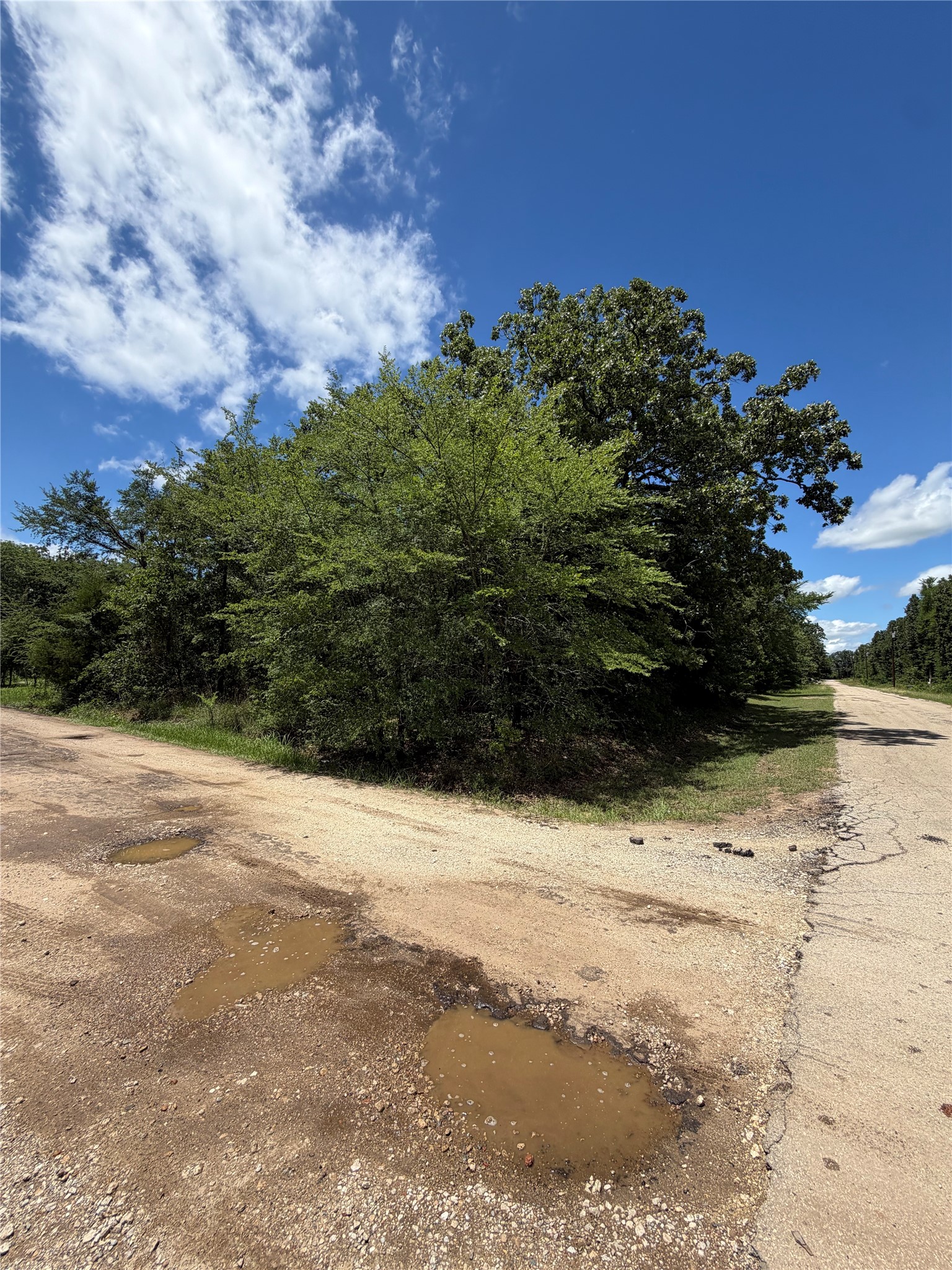 150 Navarro Drive Mabank TX 75156