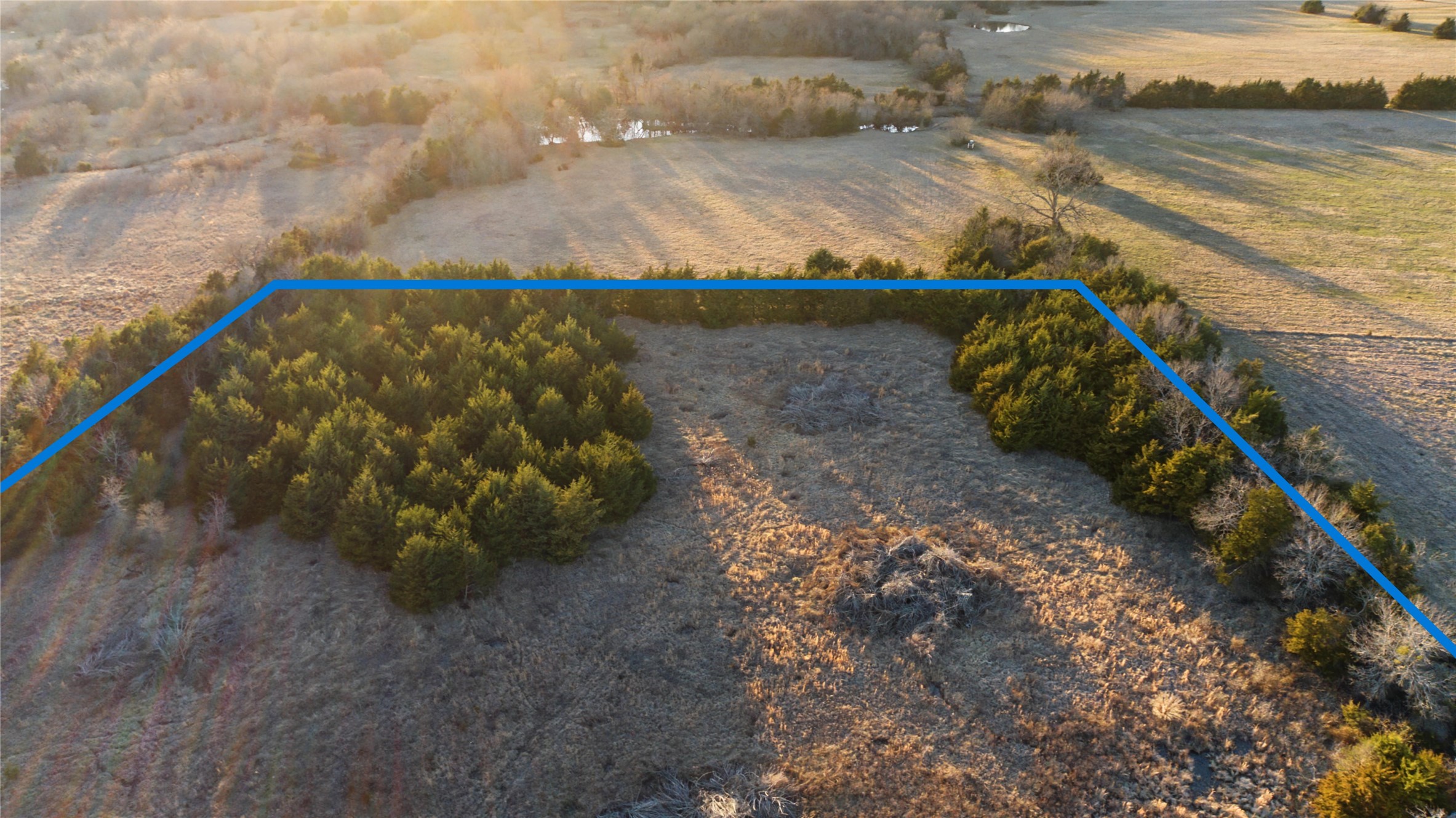 Tbd 15 Acres Cr-1033 Celeste TX 75423