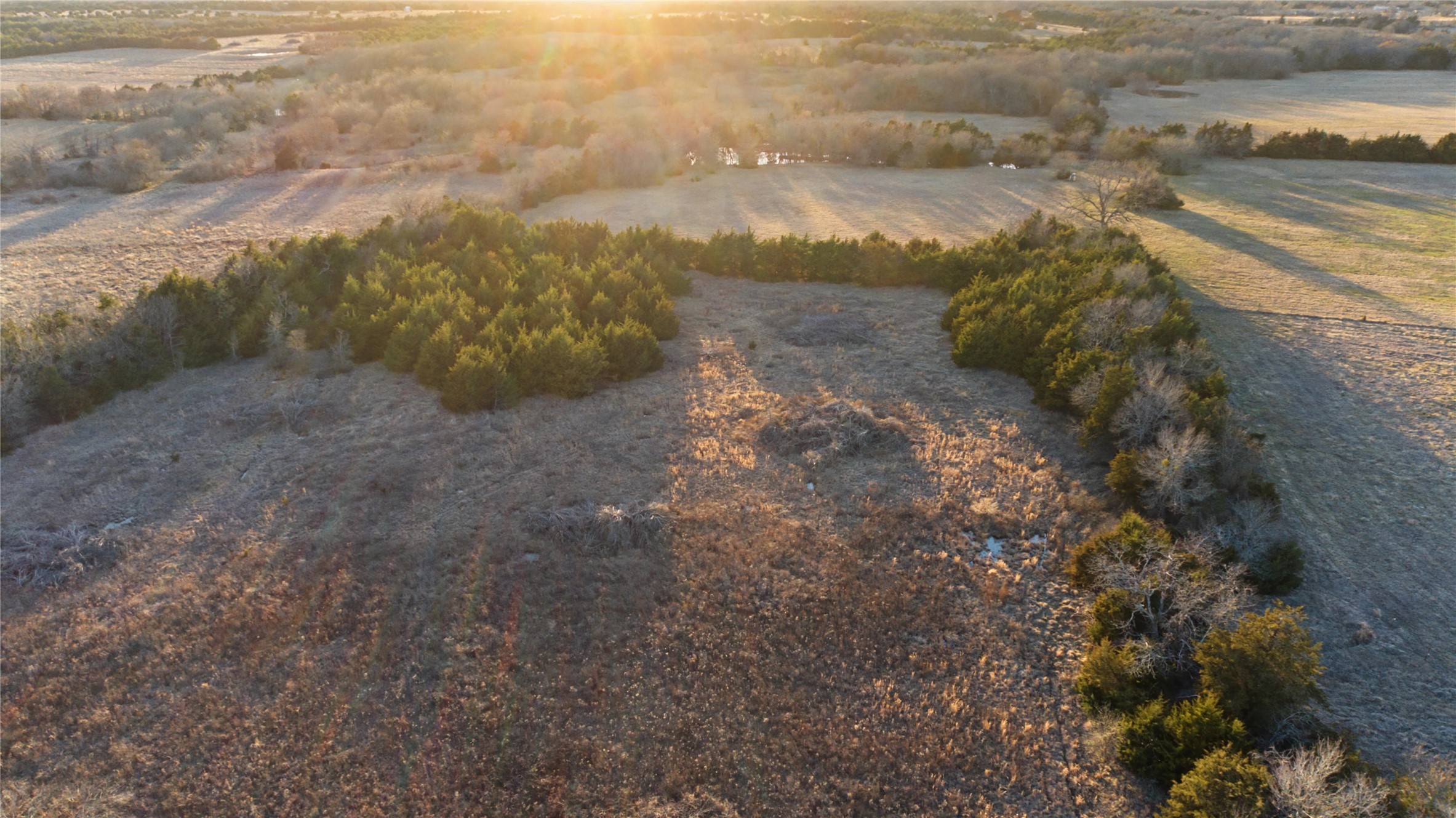 Tbd 15 Acres Cr-1033 Celeste TX 75423