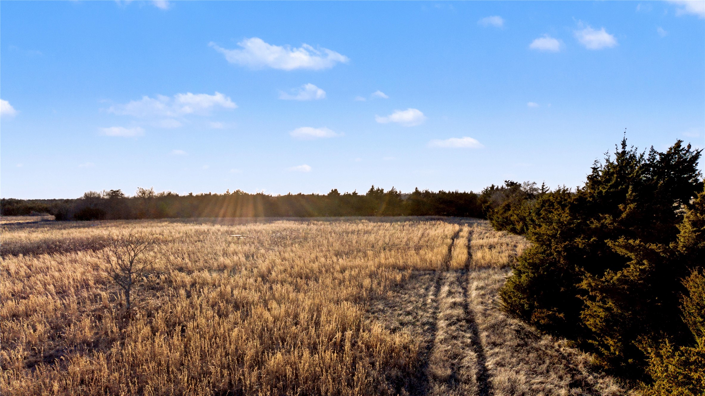 Tbd 15 Acres Cr-1033 Celeste TX 75423