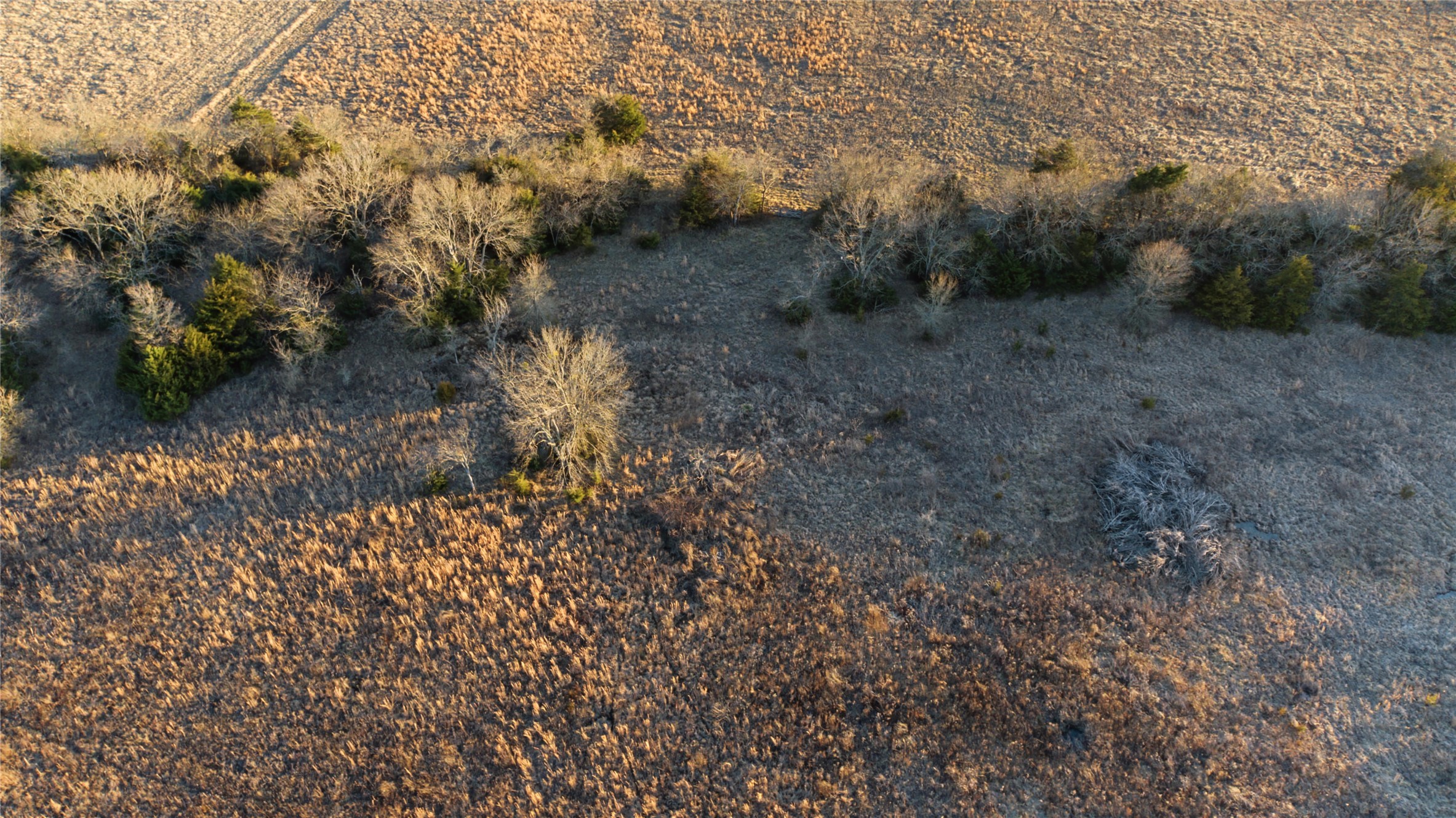 Tbd 15 Acres Cr-1033 Celeste TX 75423