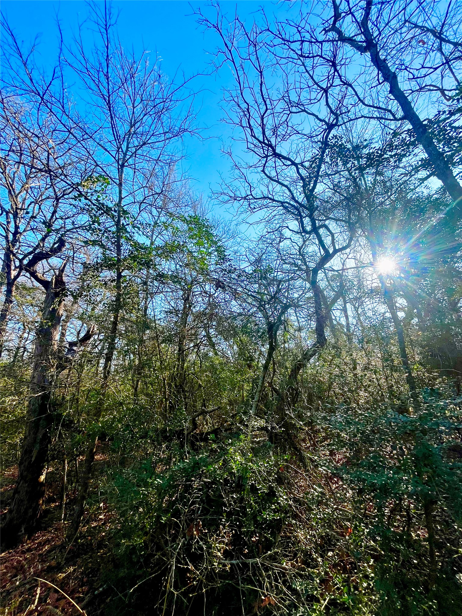1 Acre Lcr 799 Groesbeck TX 76642