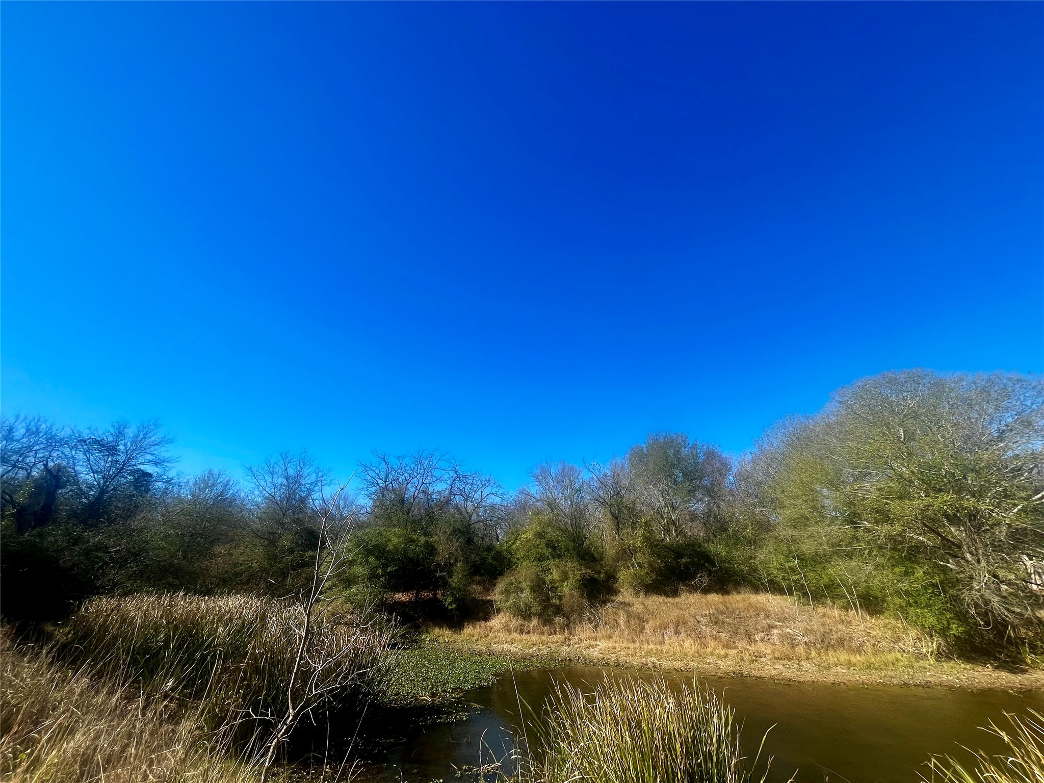 1 Acre Lcr 799 Groesbeck TX 76642