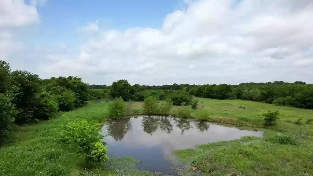 Tbd Tolosa Road Kemp TX 75143