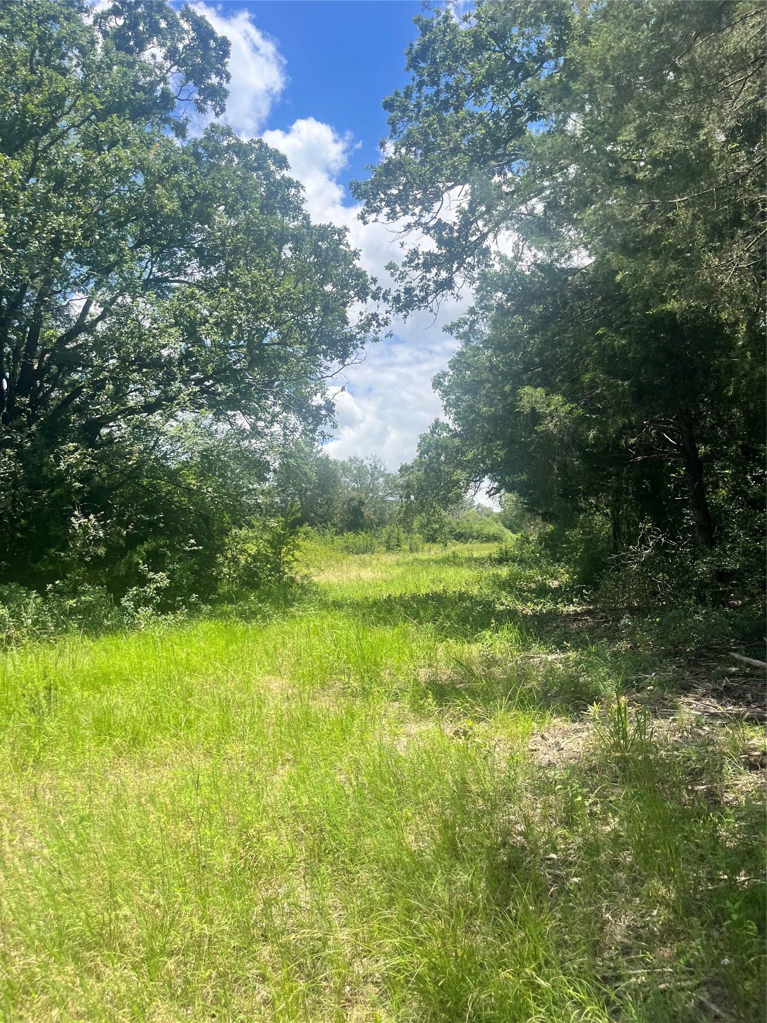 Tbd Fm 39 Groesbeck TX 76642