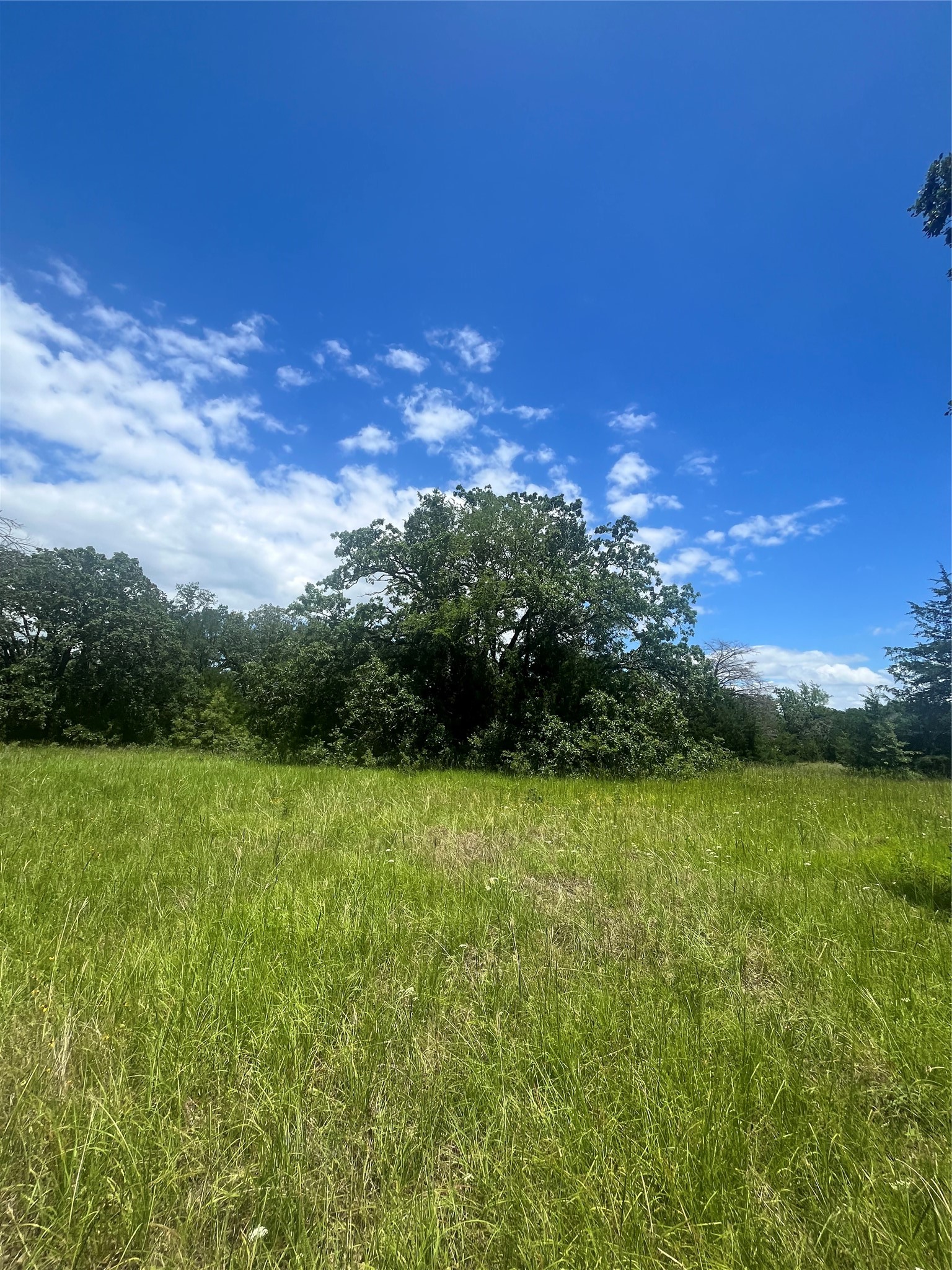 Tbd Fm 39 Groesbeck TX 76642