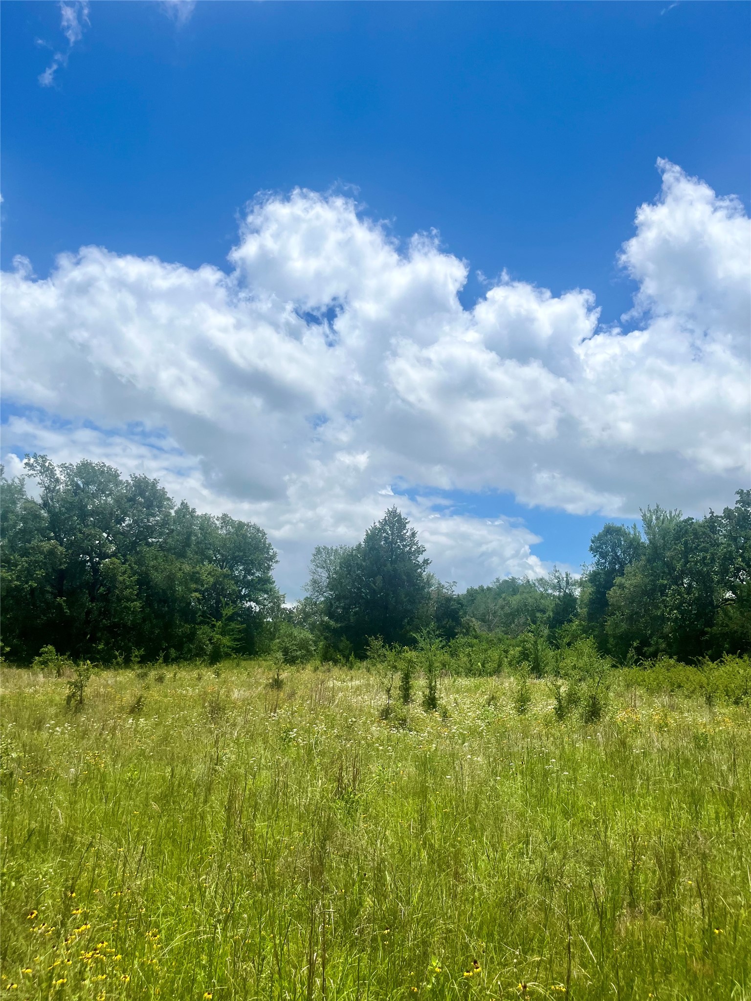 Tbd Fm 39 Groesbeck TX 76642