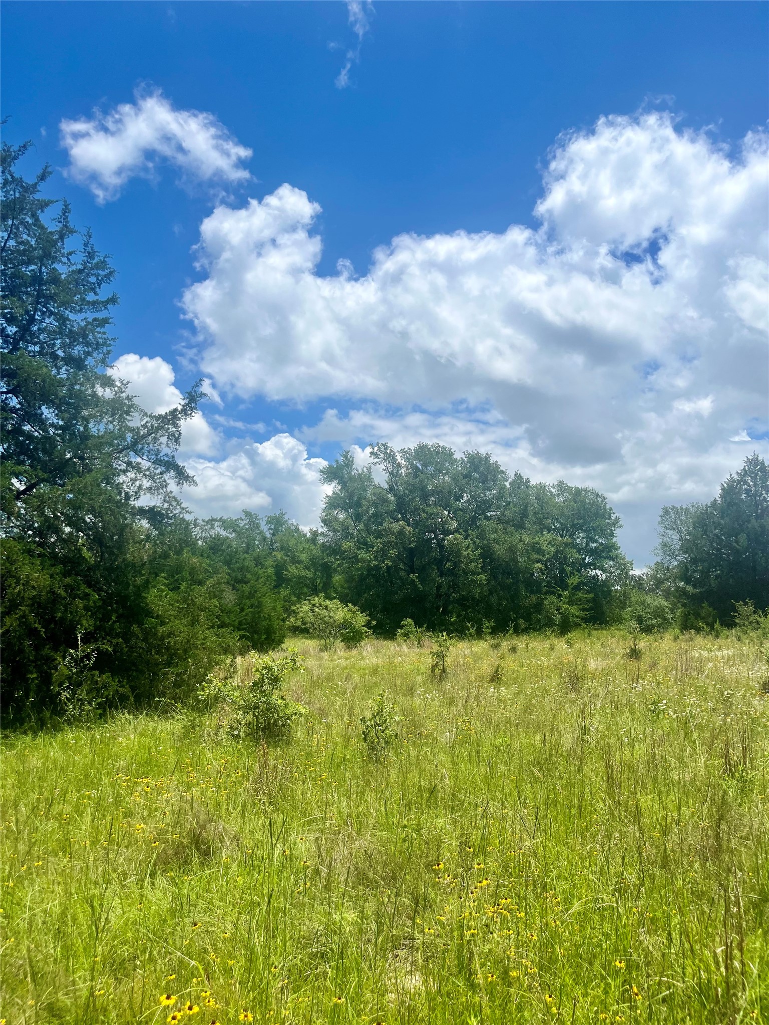 Tbd Fm 39 Groesbeck TX 76642