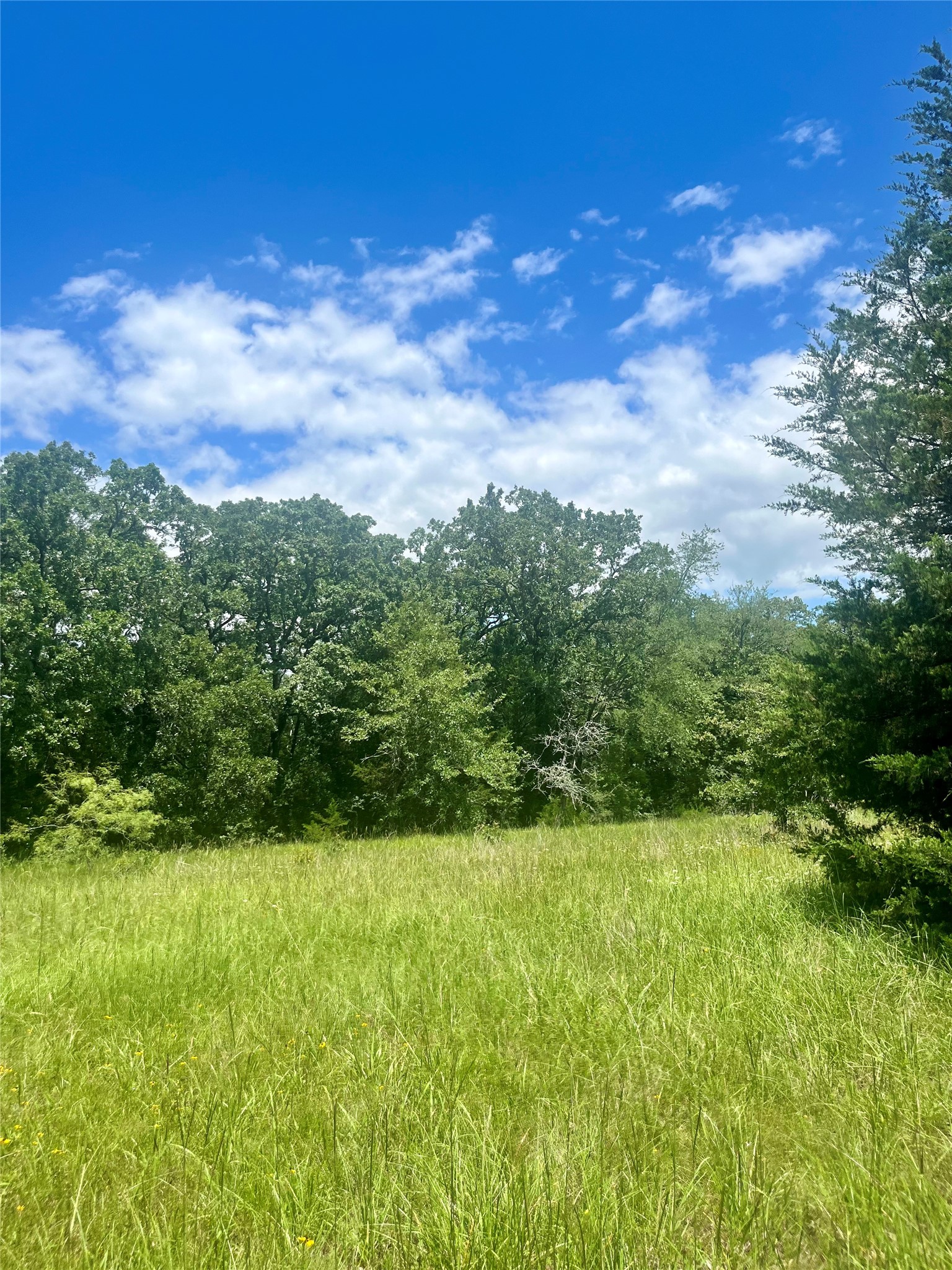 Tbd Fm 39 Groesbeck TX 76642