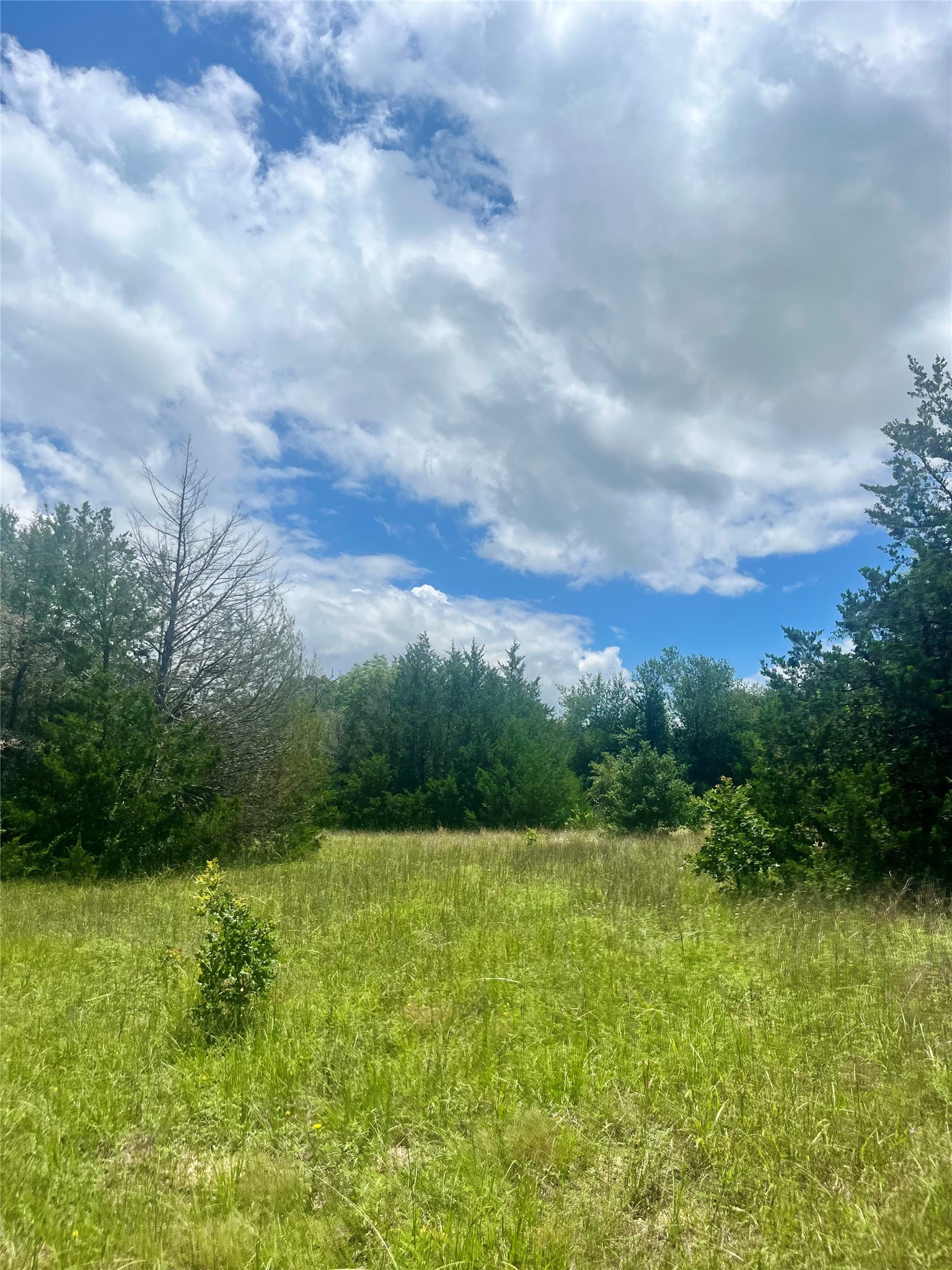 Tbd Fm 39 Groesbeck TX 76642