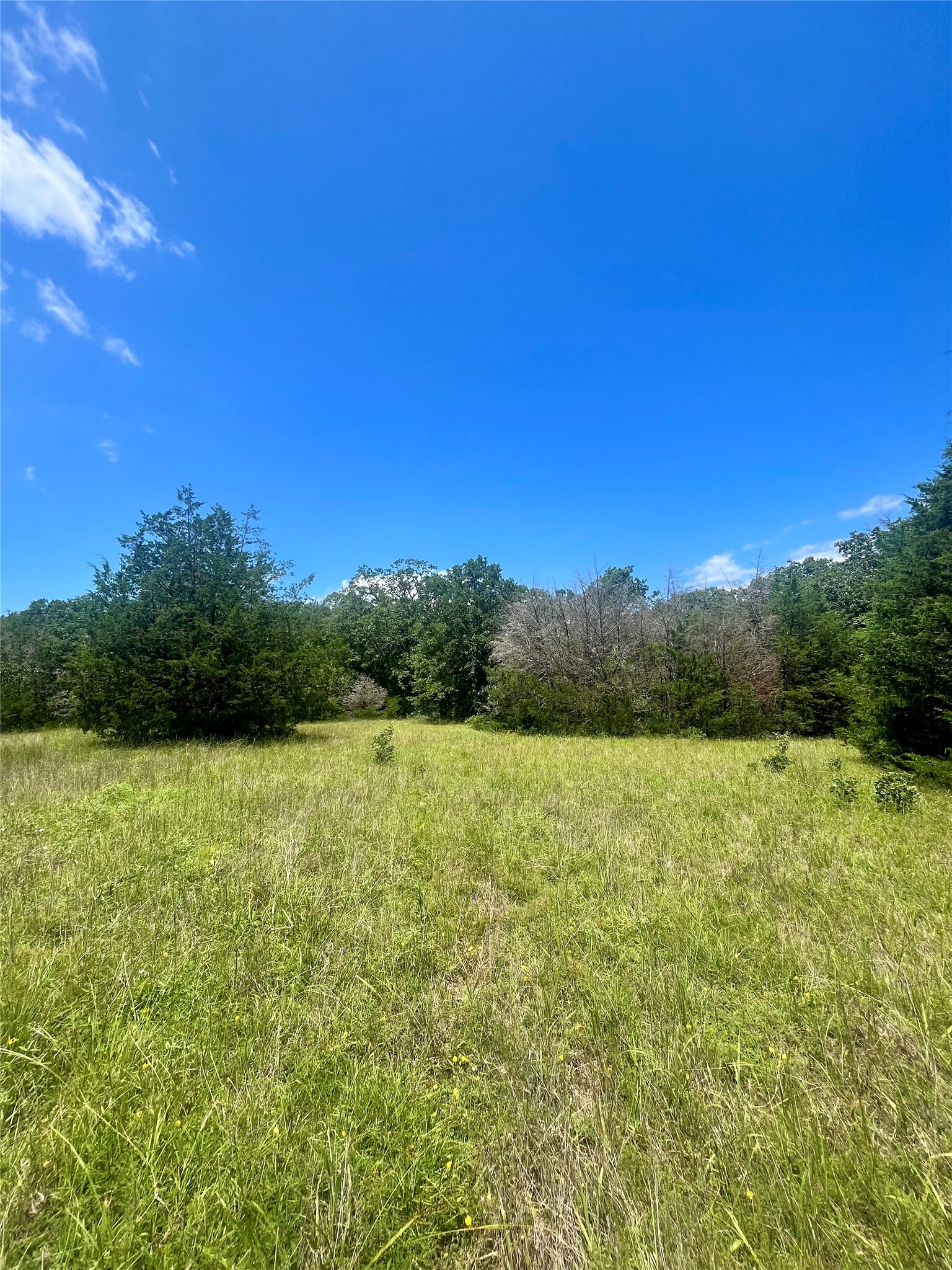 Tbd Fm 39 Groesbeck TX 76642