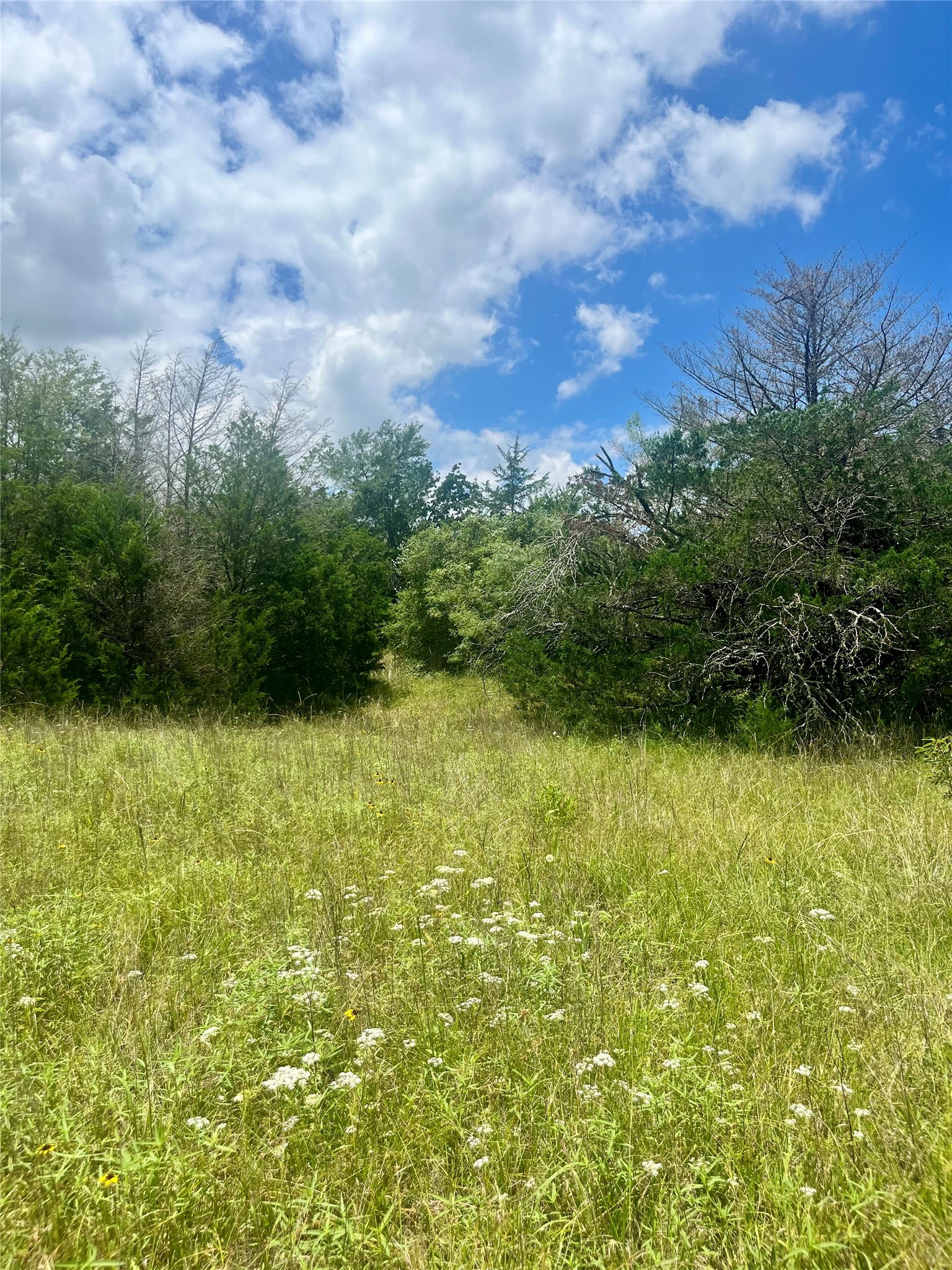Tbd Fm 39 Groesbeck TX 76642