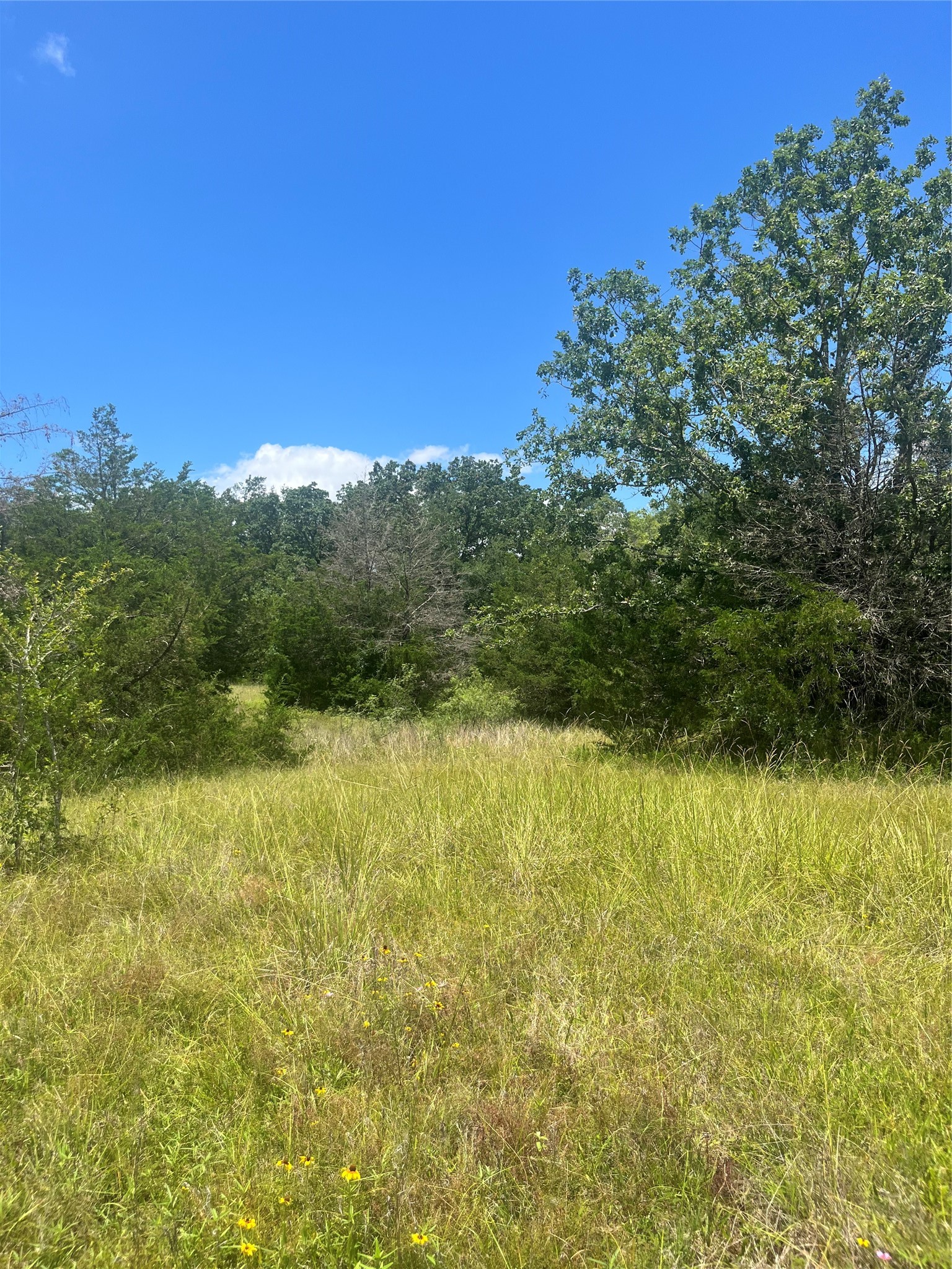 Tbd Fm 39 Groesbeck TX 76642