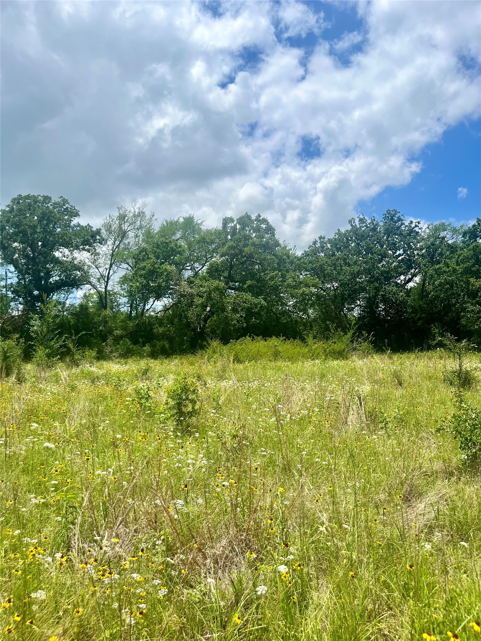 Tbd Fm 39 Groesbeck TX 76642