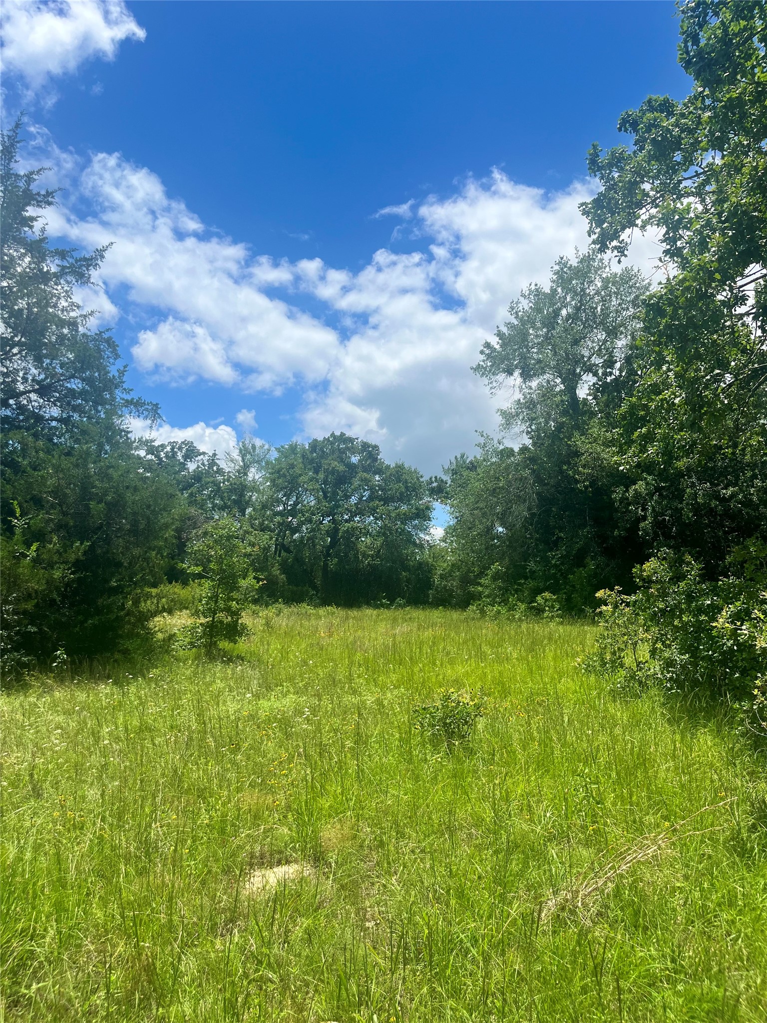 Tbd Fm 39 Groesbeck TX 76642