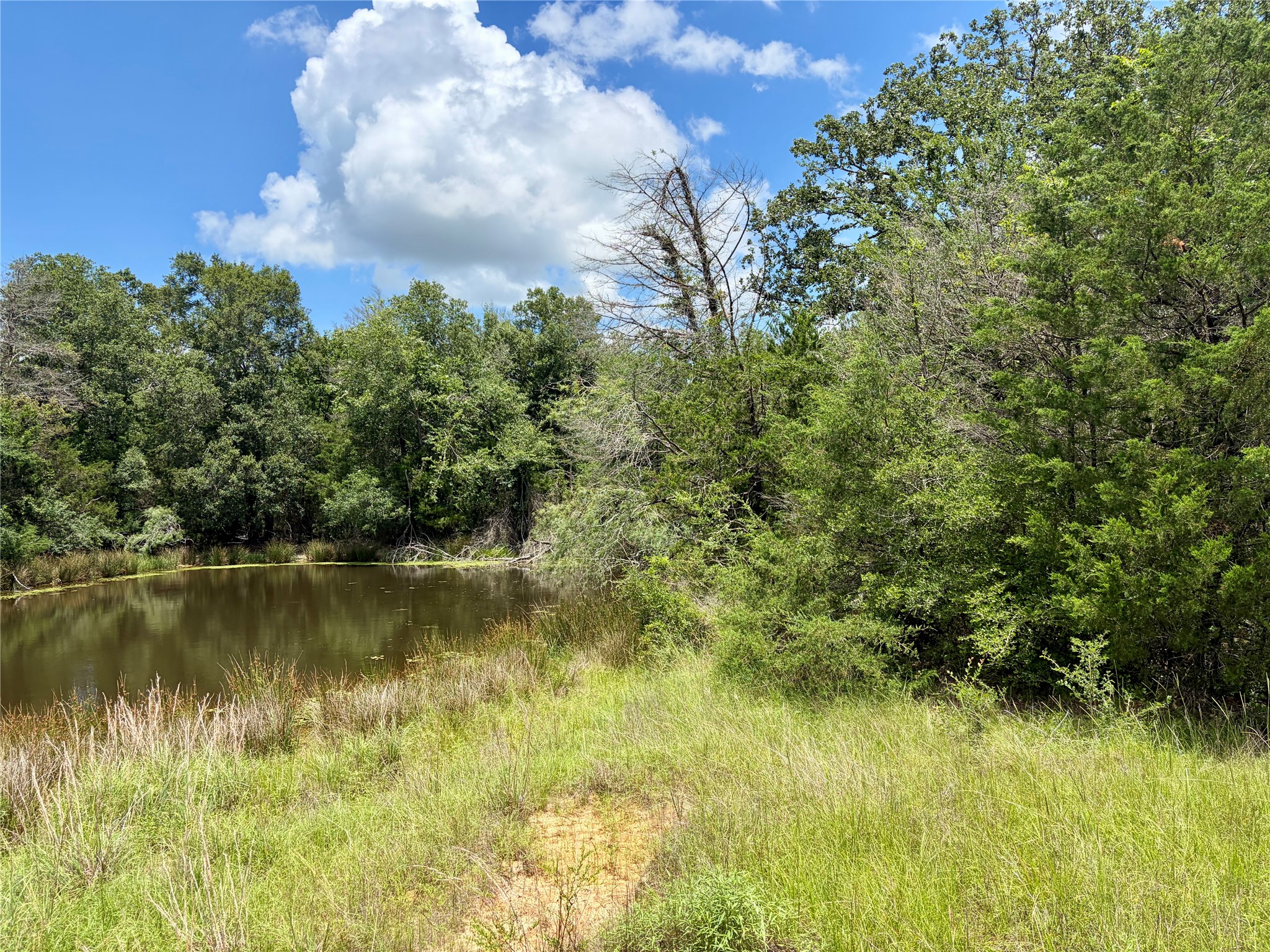 Tbd Fm 39 Groesbeck TX 76642