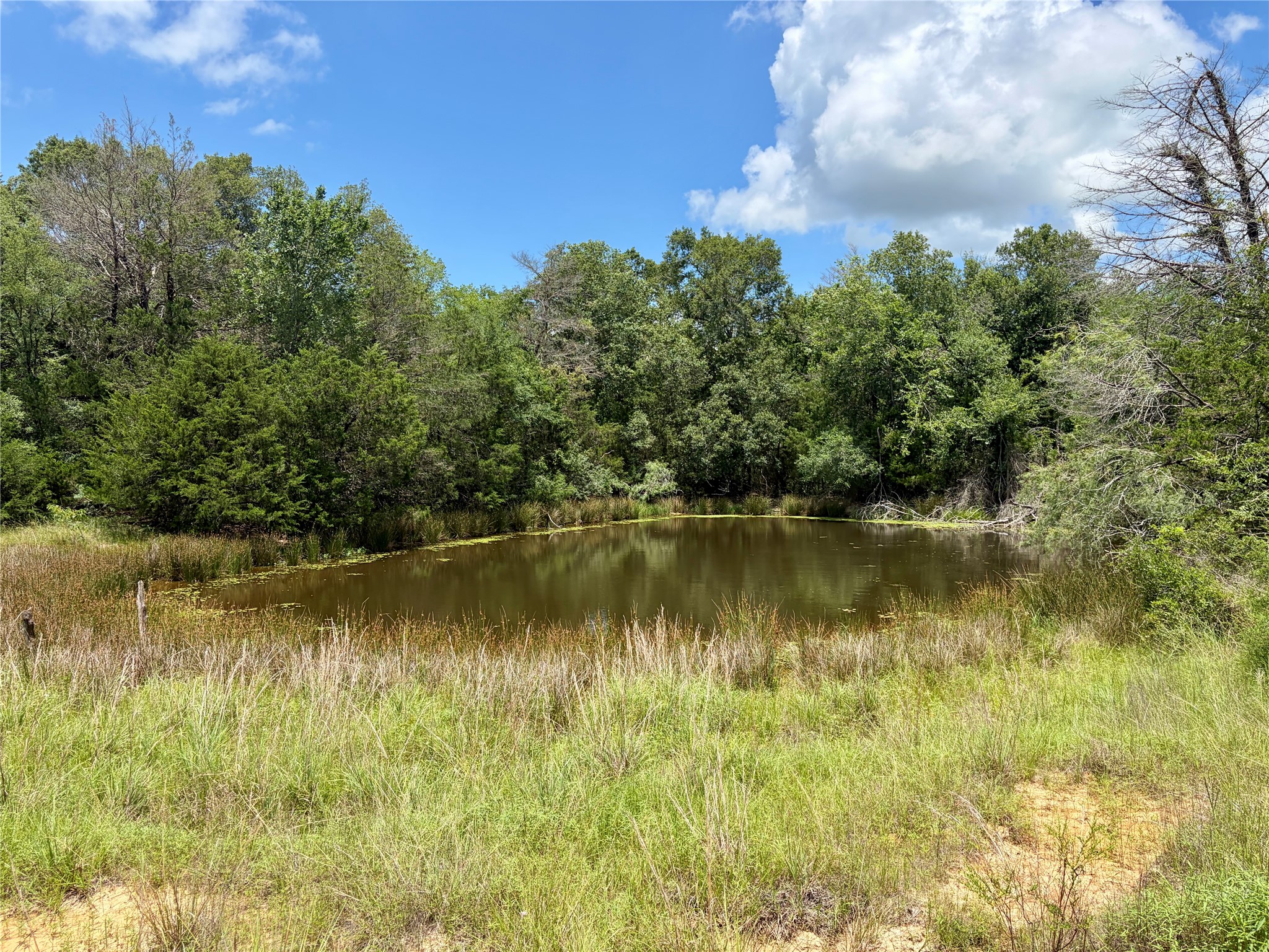 Tbd Fm 39 Groesbeck TX 76642