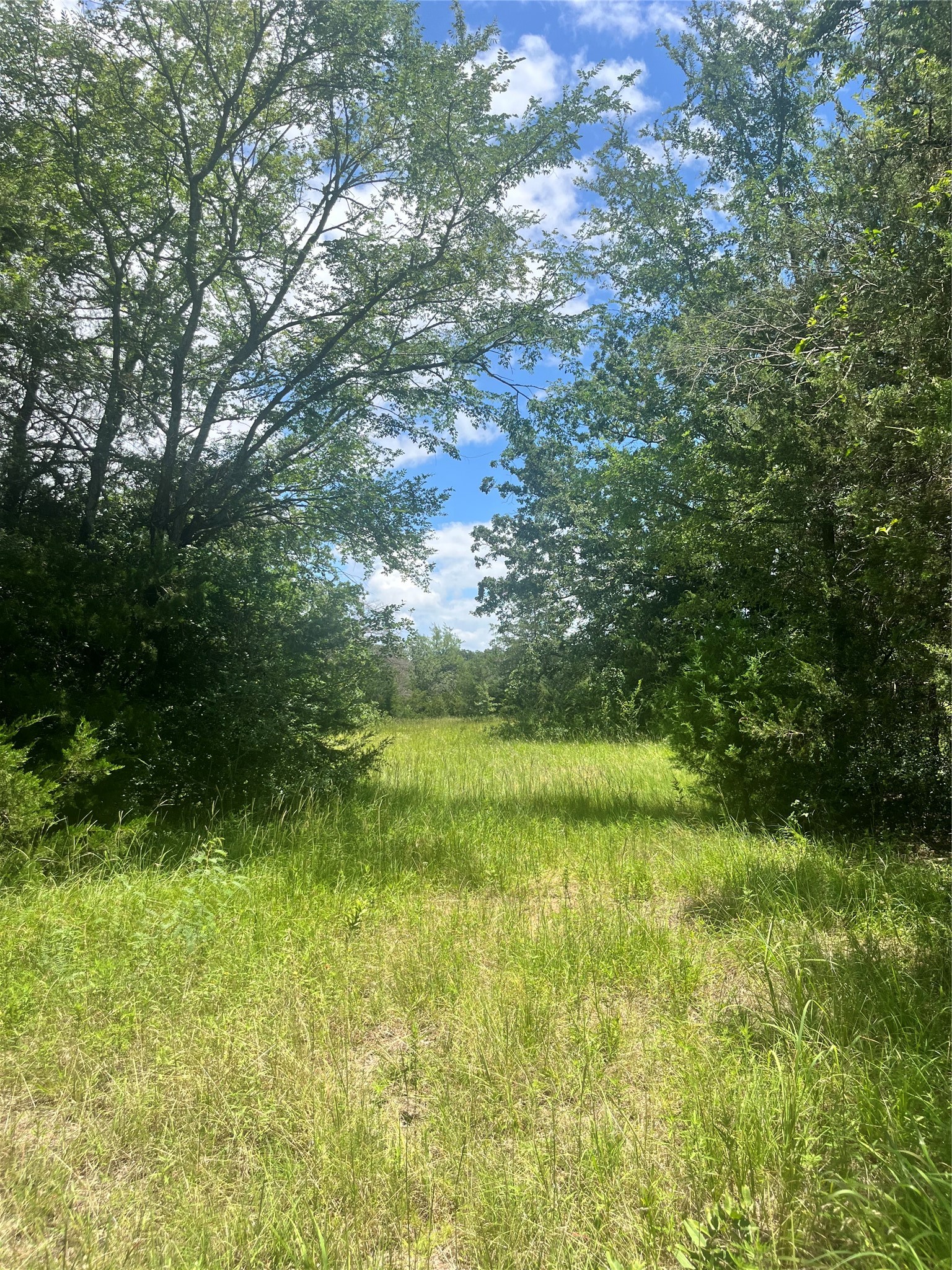 Tbd Fm 39 Groesbeck TX 76642