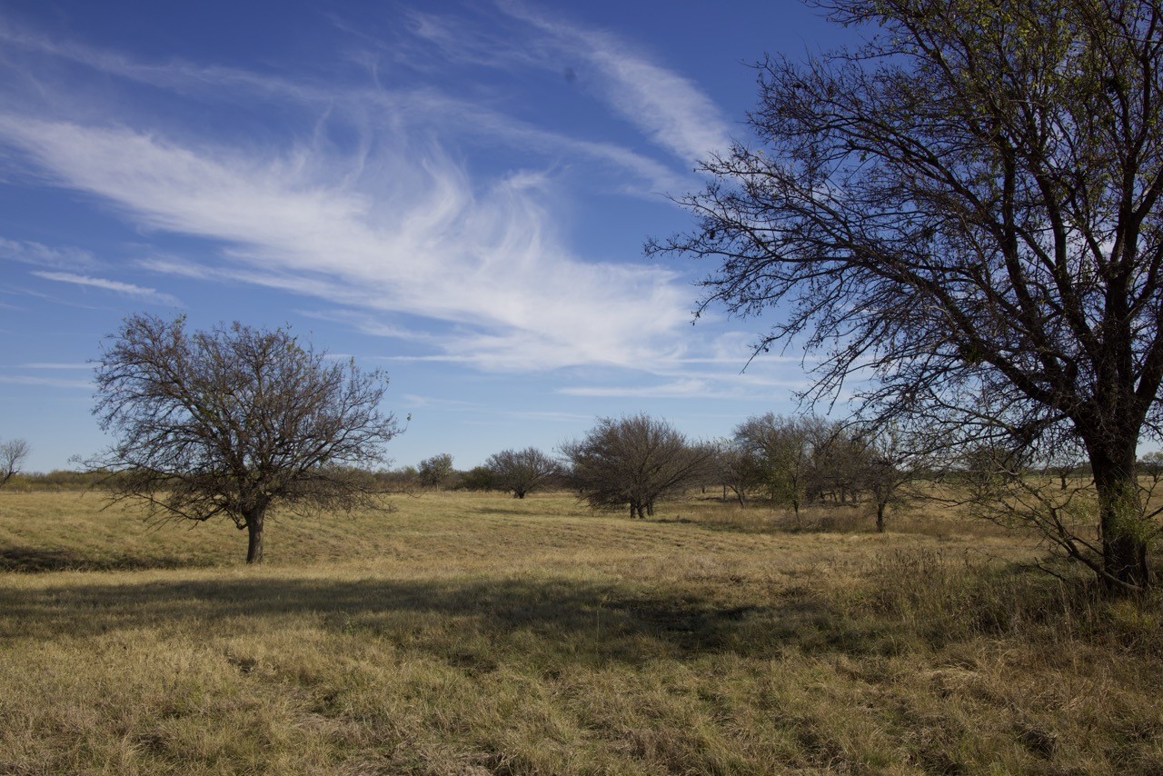 6172 Fm 1769 Graham TX 76450