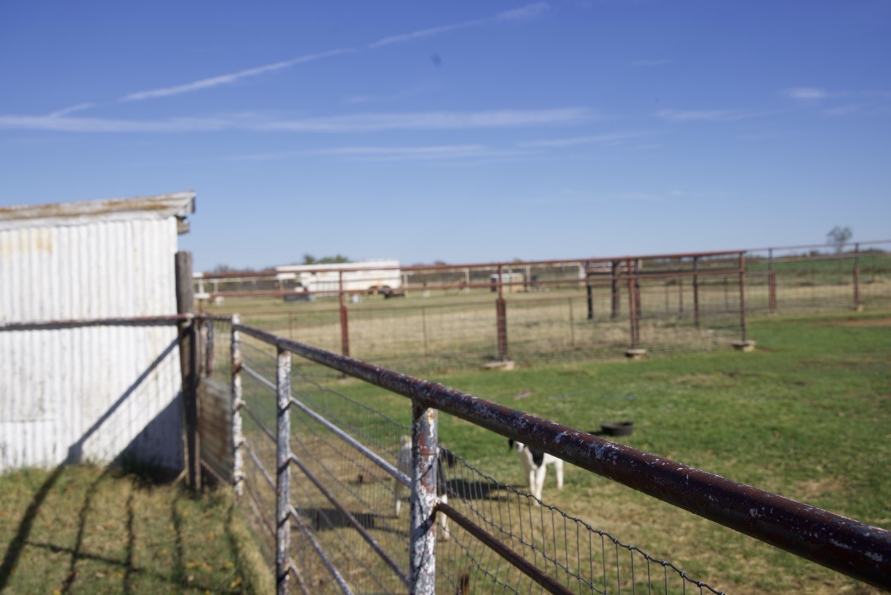 6172 Fm 1769 Graham TX 76450