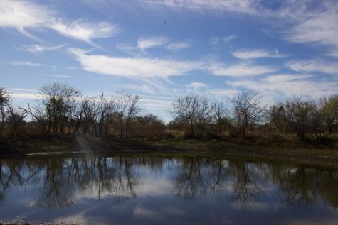 6172 Fm 1769 Graham TX 76450