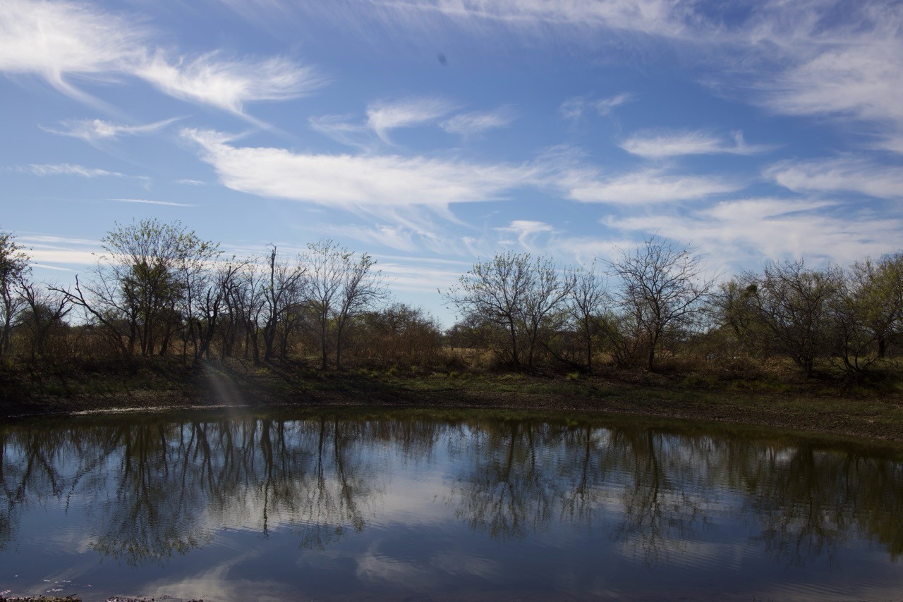 6172 Fm 1769 Graham TX 76450
